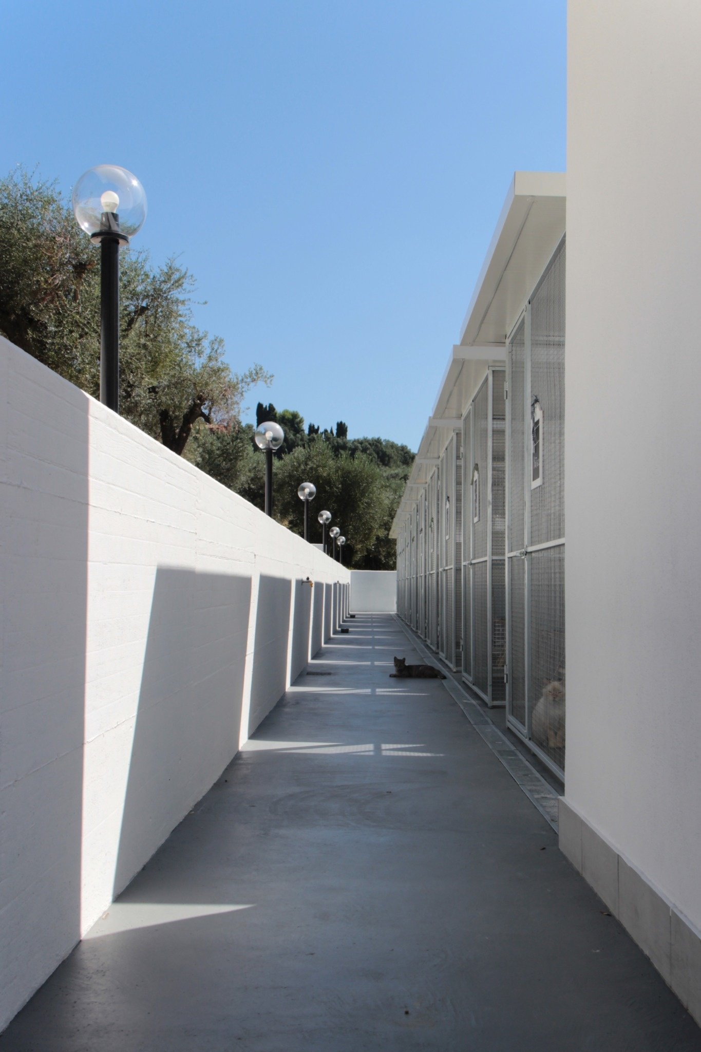 CSIAA Office – Casa mascotas (19)