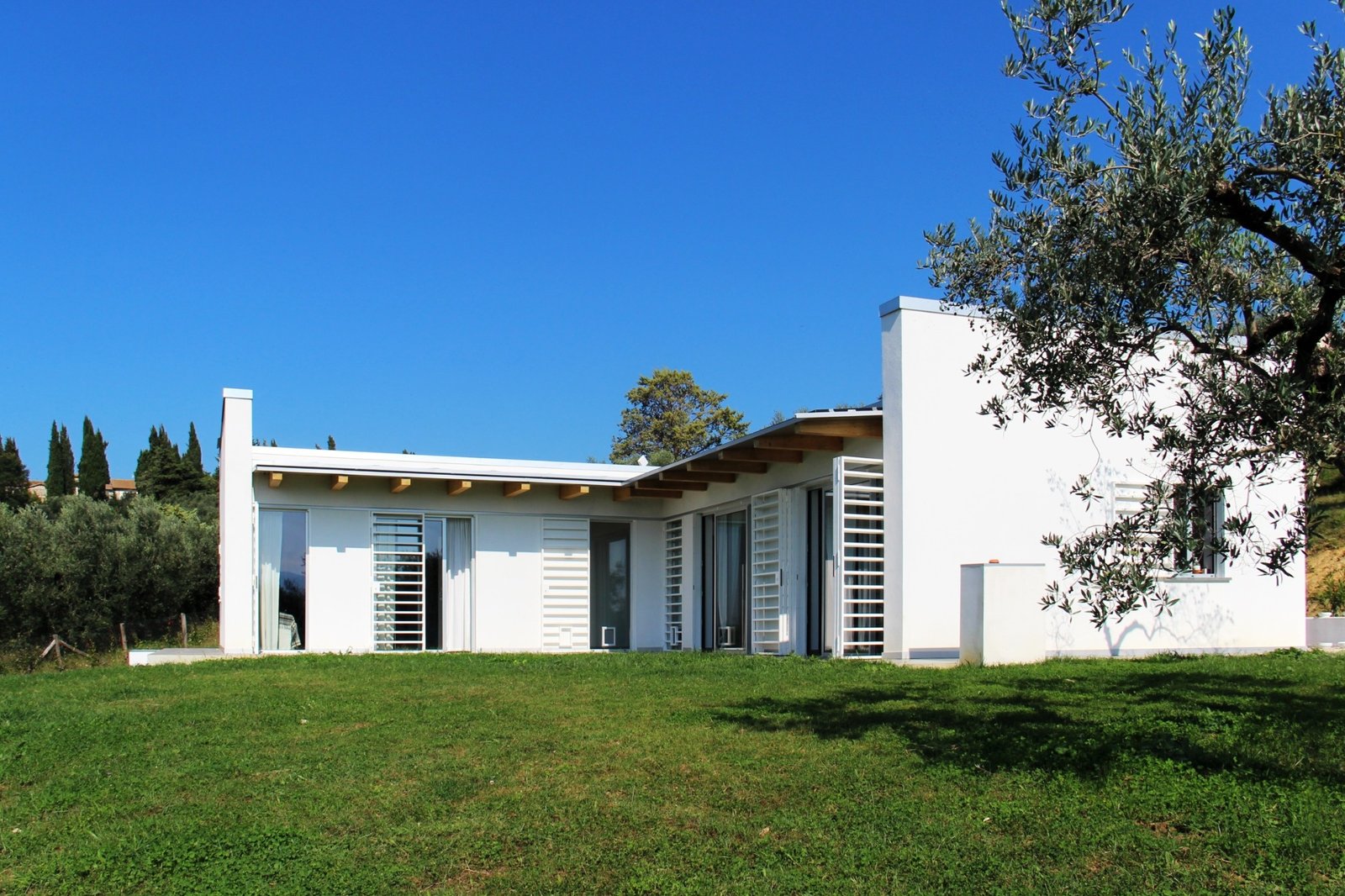 CSIAA Office – Casa mascotas (2)