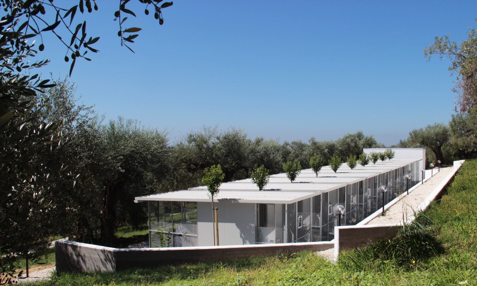 CSIAA Office – Casa mascotas (21)