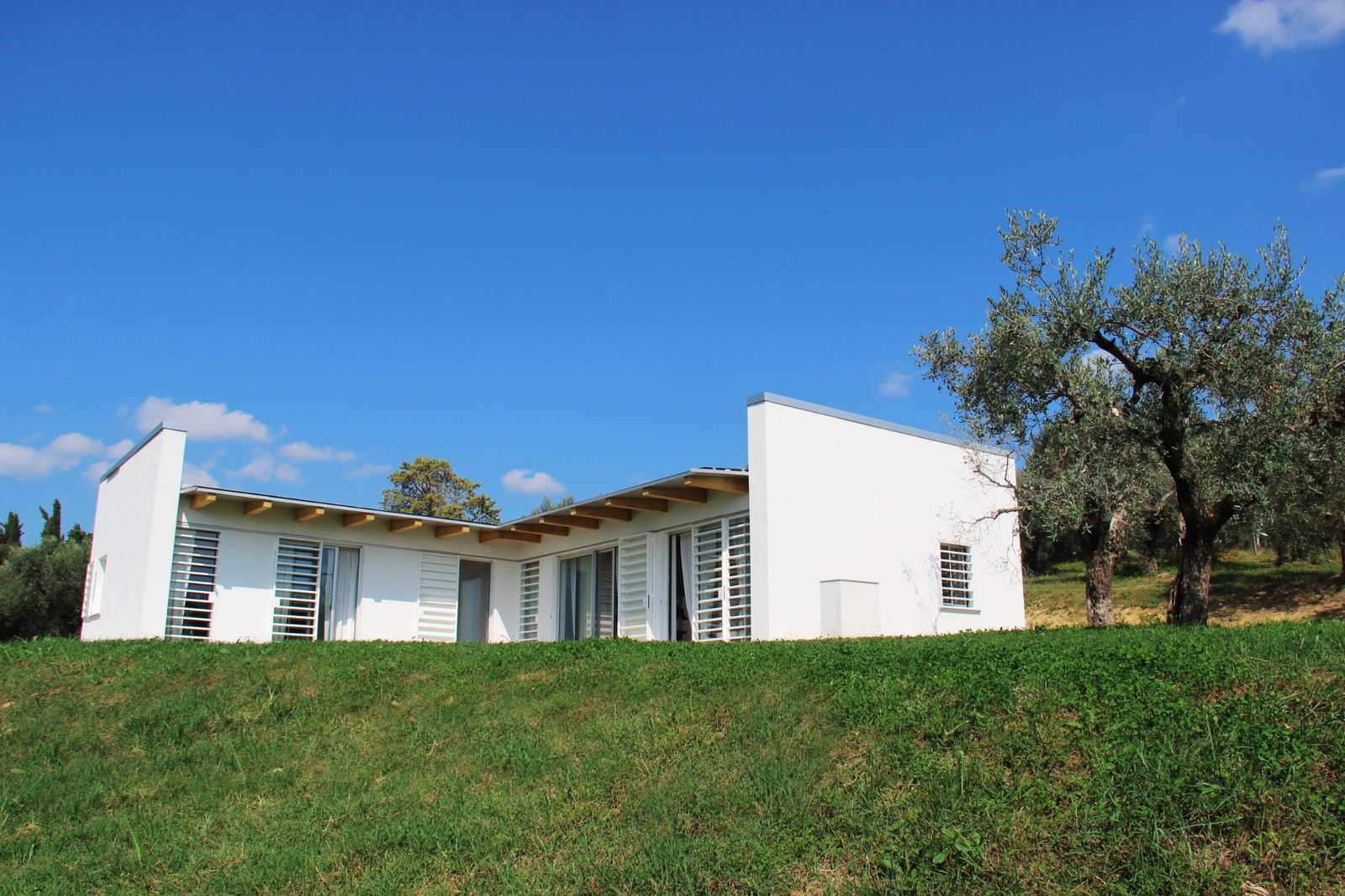 CSIAA Office – Casa mascotas (4)