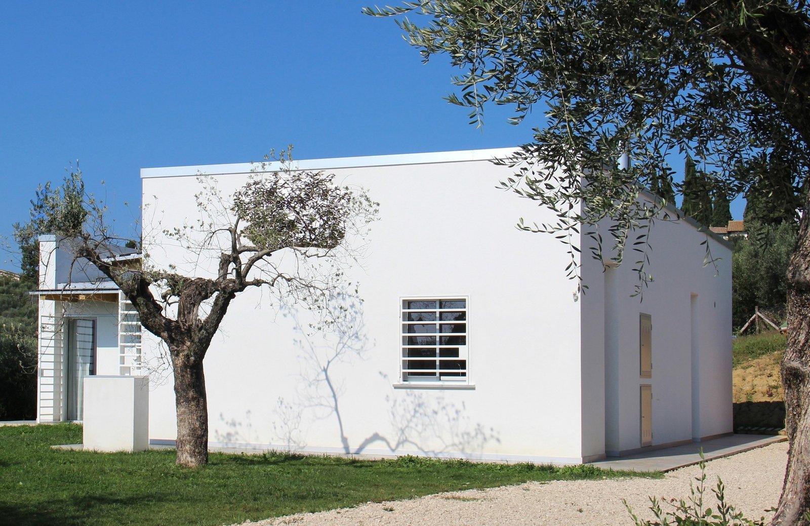 CSIAA Office – Casa mascotas (5)