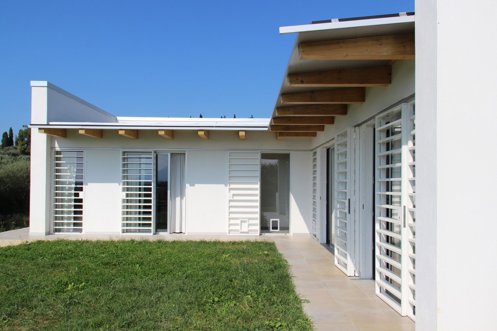 CSIAA Office – Casa mascotas (6)