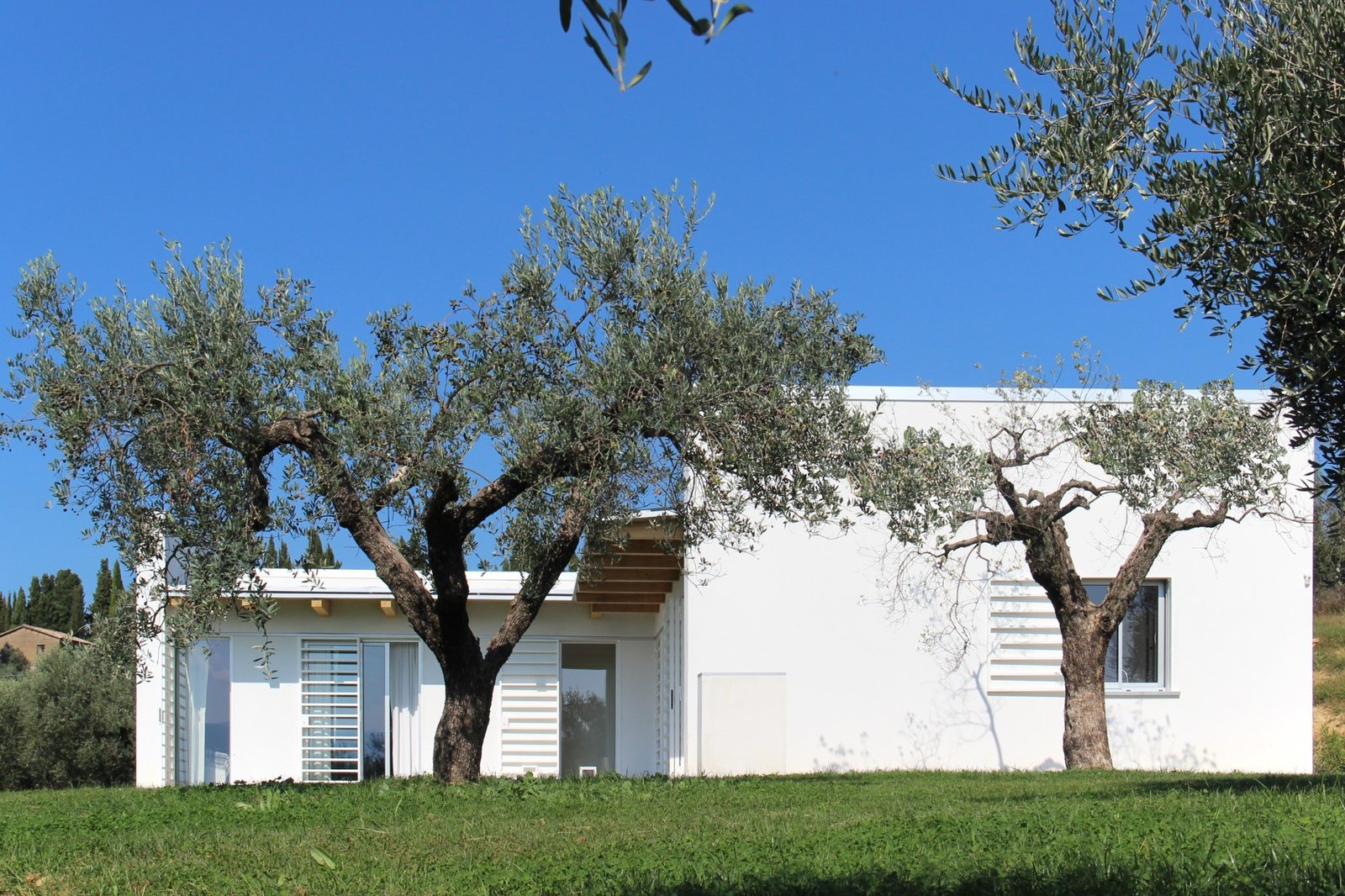 CSIAA Office – Casa mascotas (7)