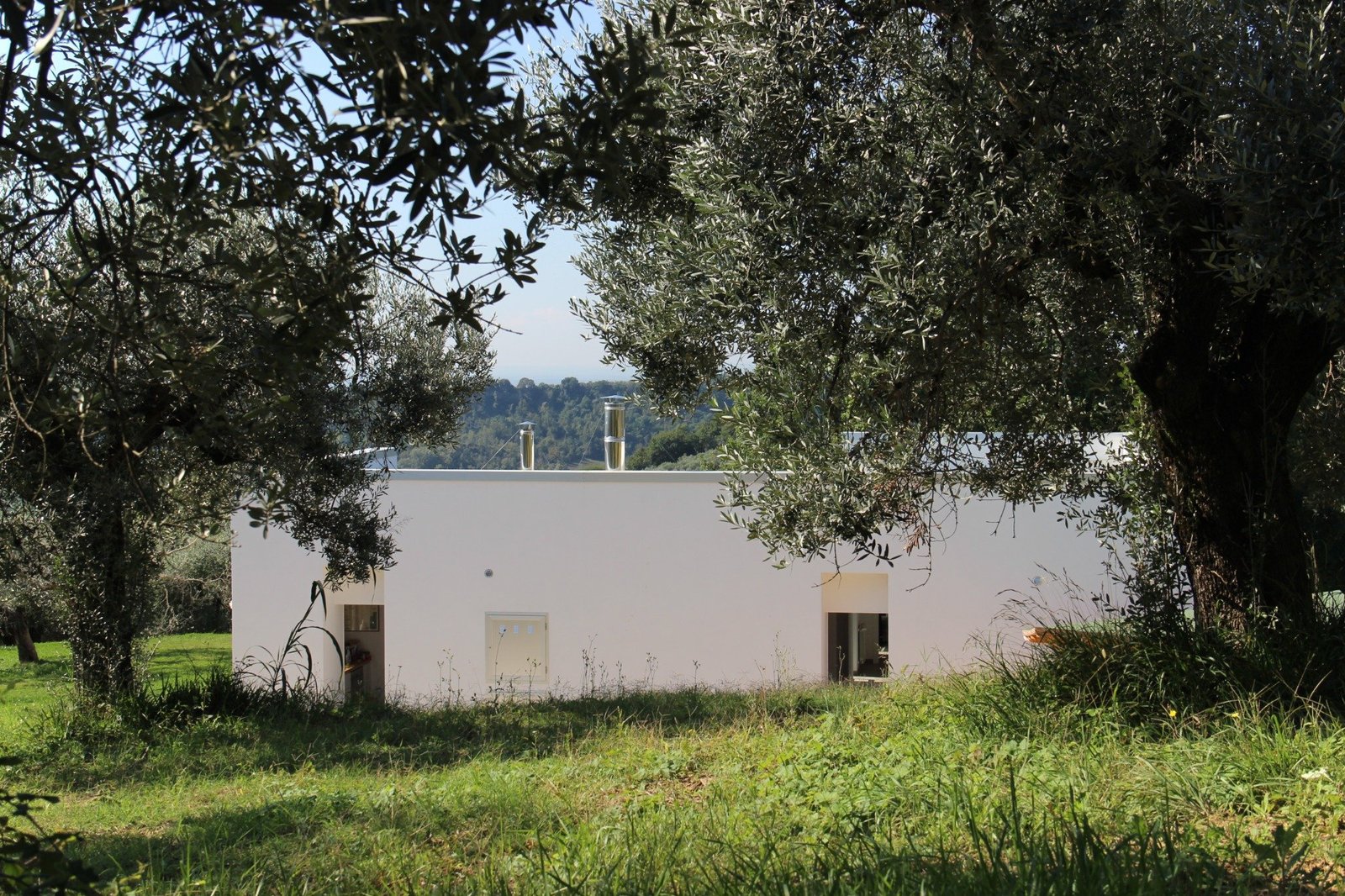 CSIAA Office – Casa mascotas (8)