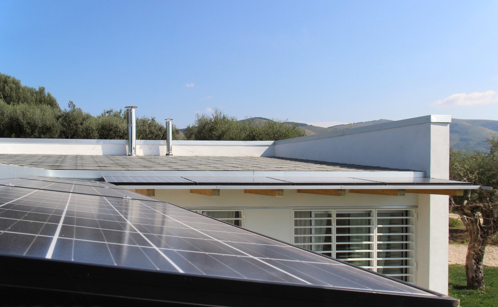 CSIAA Office – Casa mascotas (9)