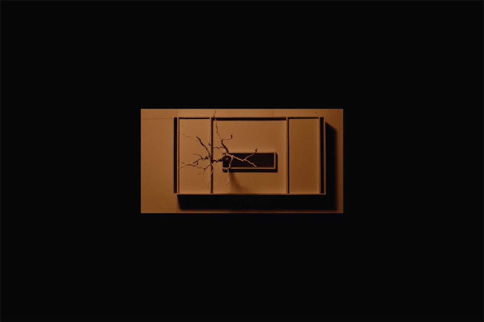 NEBR arquitetura – Casa Blanca (Felipe Petrovsky) (1)