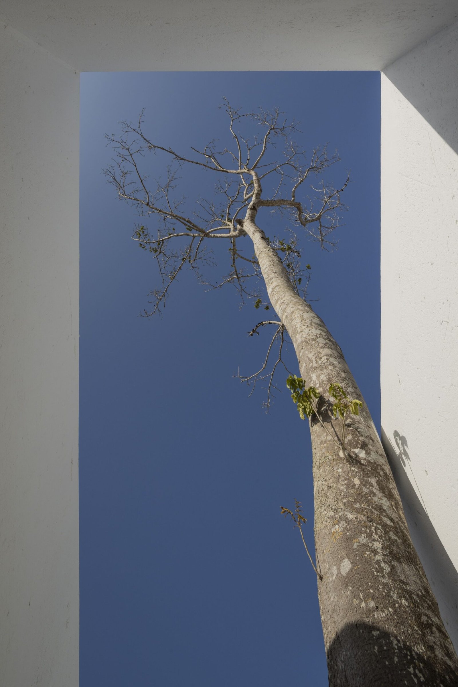 NEBR arquitetura – Casa Blanca (Felipe Petrovsky) (9)