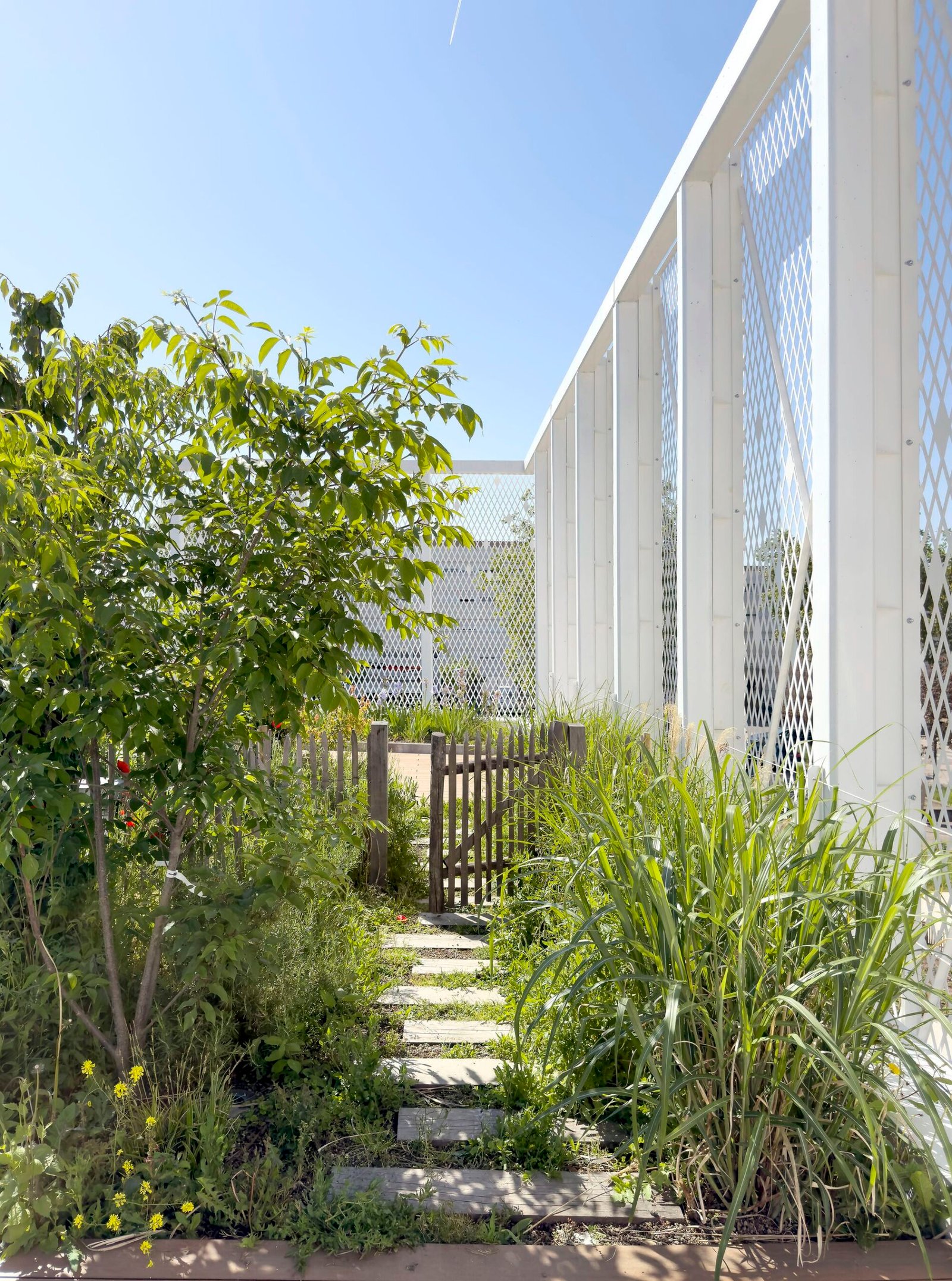 ABC Studio &ndash; Centro socioeducativo Borny (Charly Broyez, Cyrille Lallement, ABC Studio) (7)