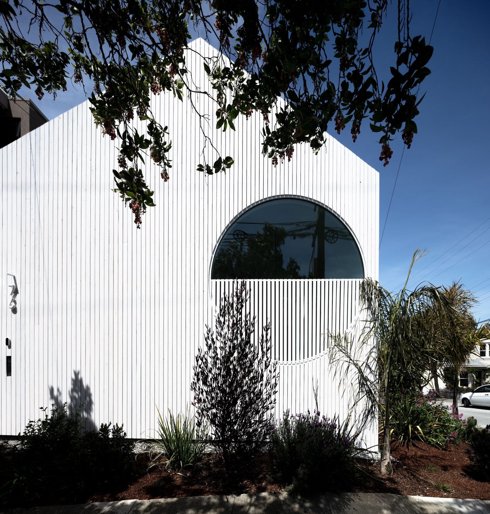 Craig Steely &ndash; Casa Flor (Darren Bradley modarchitecture) AeB (6)