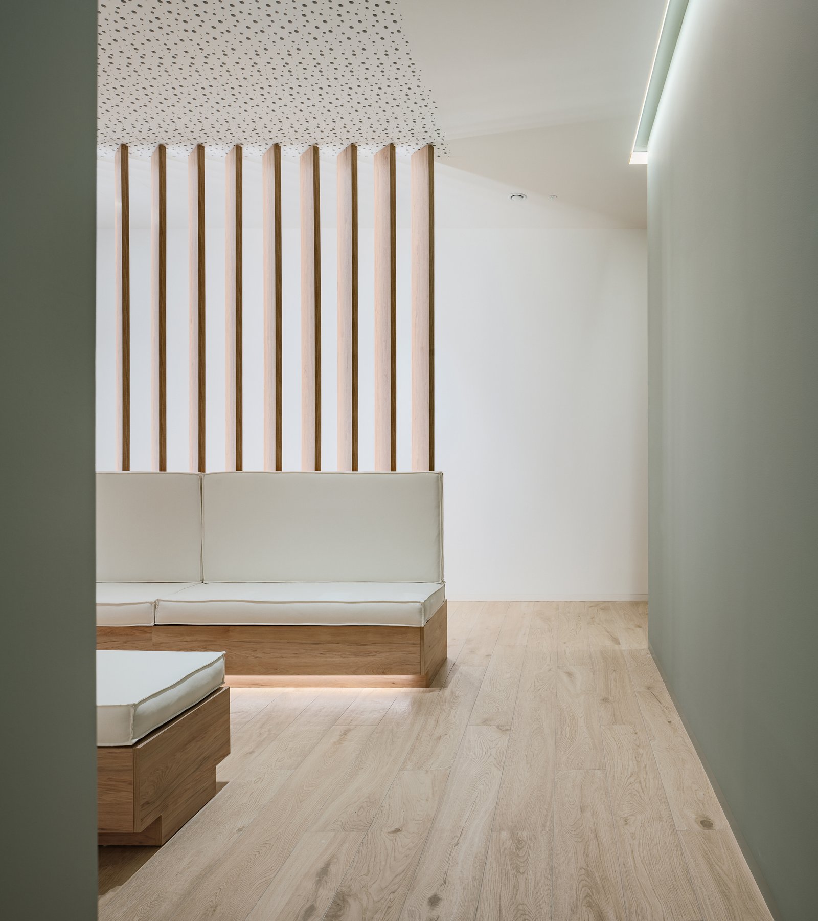 imagen_principal (7)