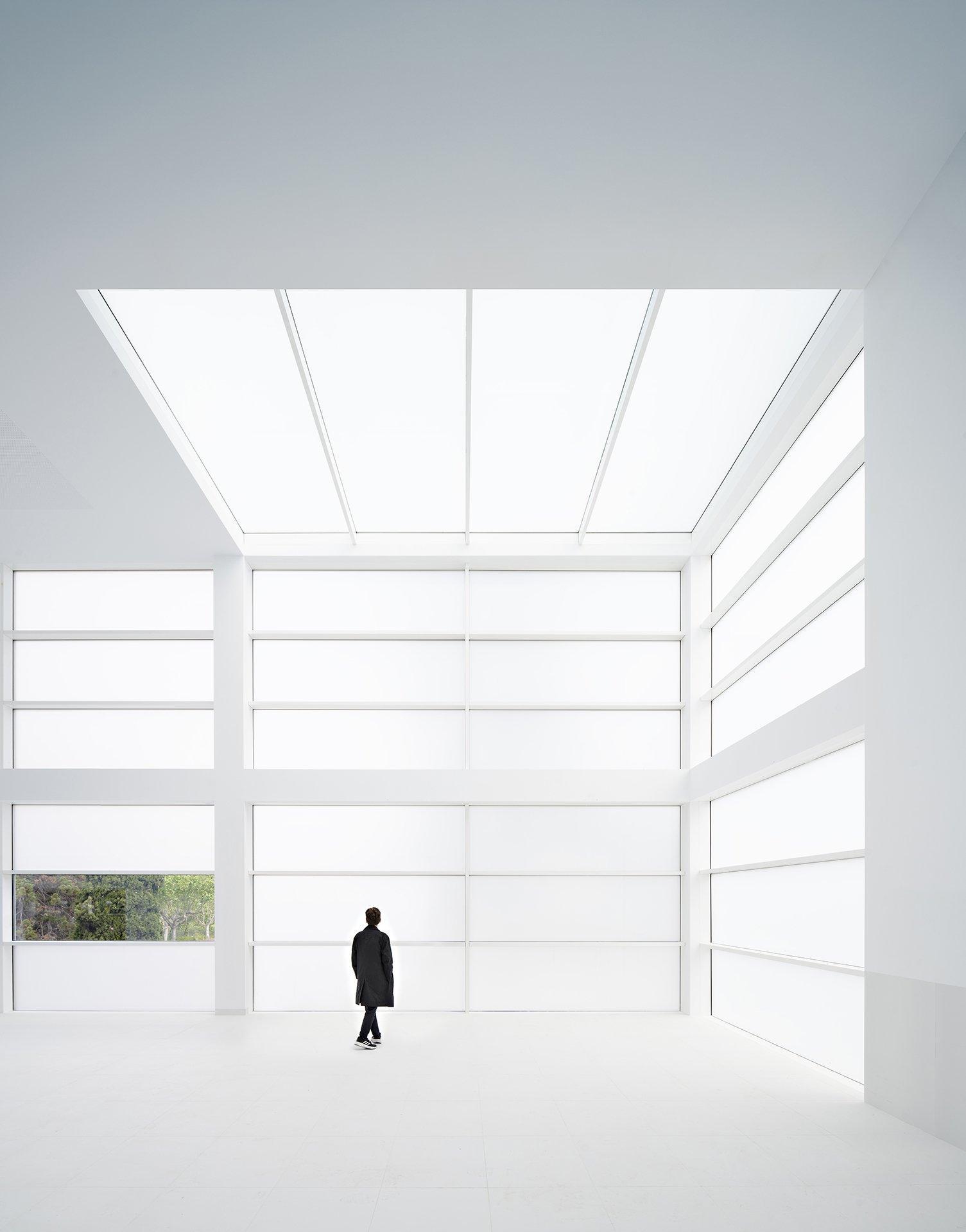 imagen_principal (9)