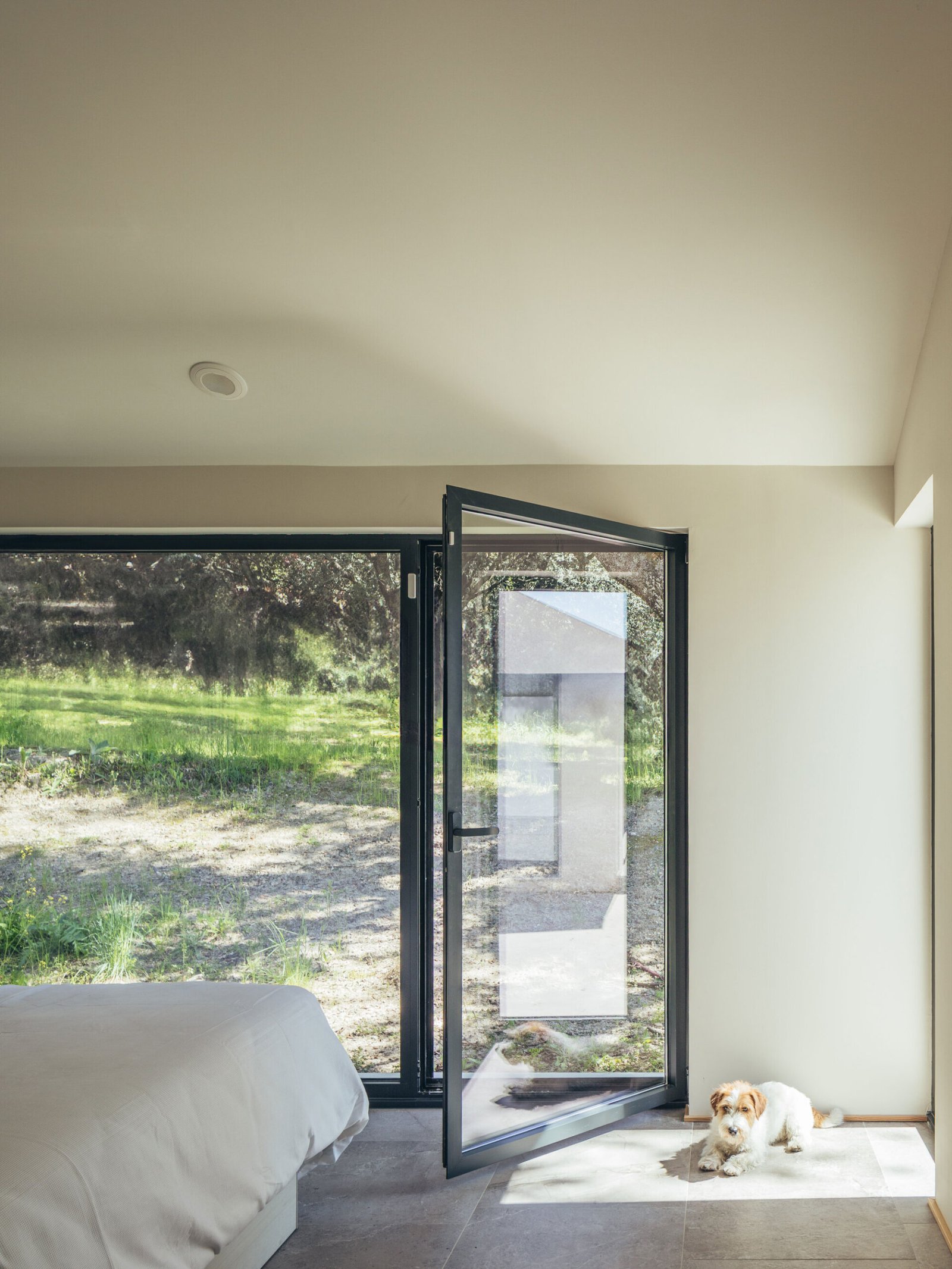 More&Co – Casa entre encinas (Pancho Gallardo) (13)