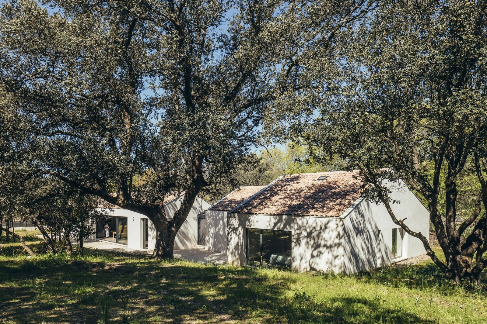 More&Co – Casa entre encinas (Pancho Gallardo) (6)