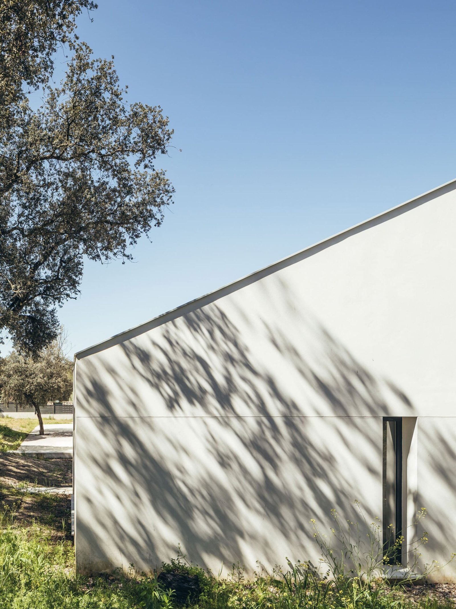 More&Co – Casa entre encinas (Pancho Gallardo) (7)