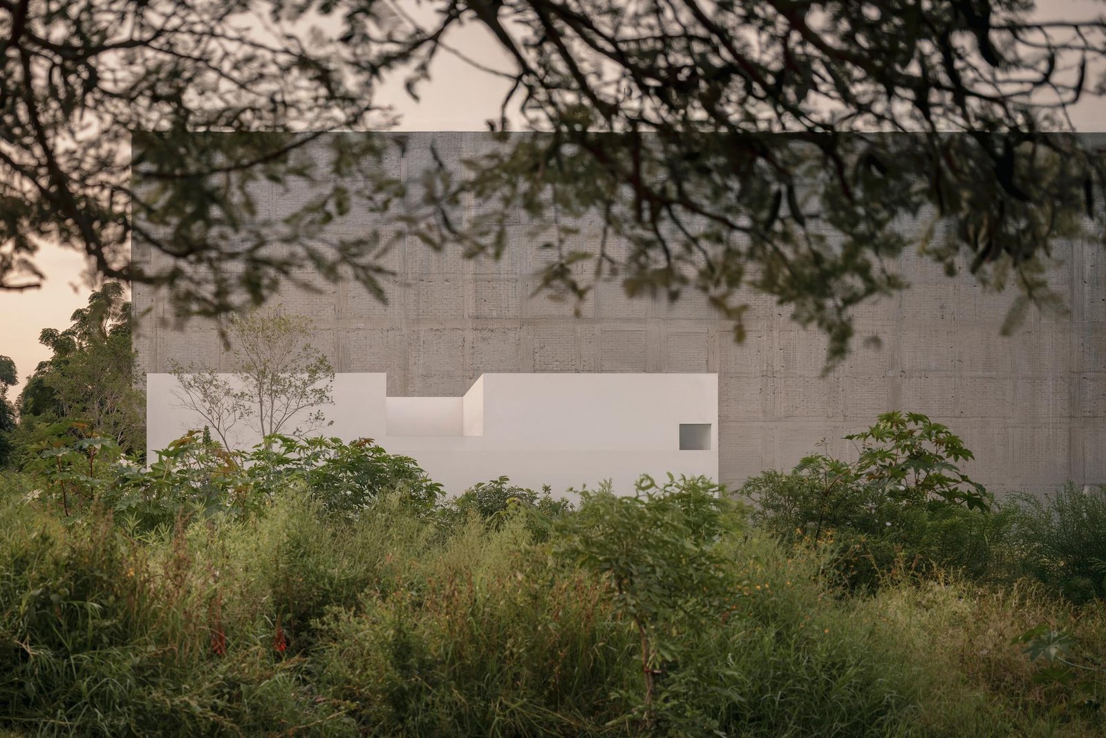© César Béjar