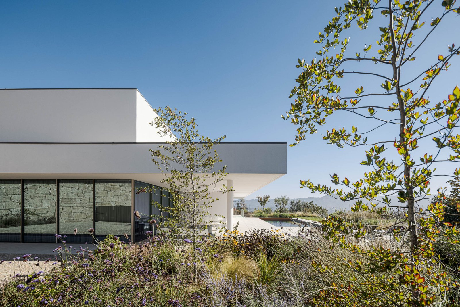 Casa Aurea com arquitetura Stu.dere e fotografia Ivo Tavares