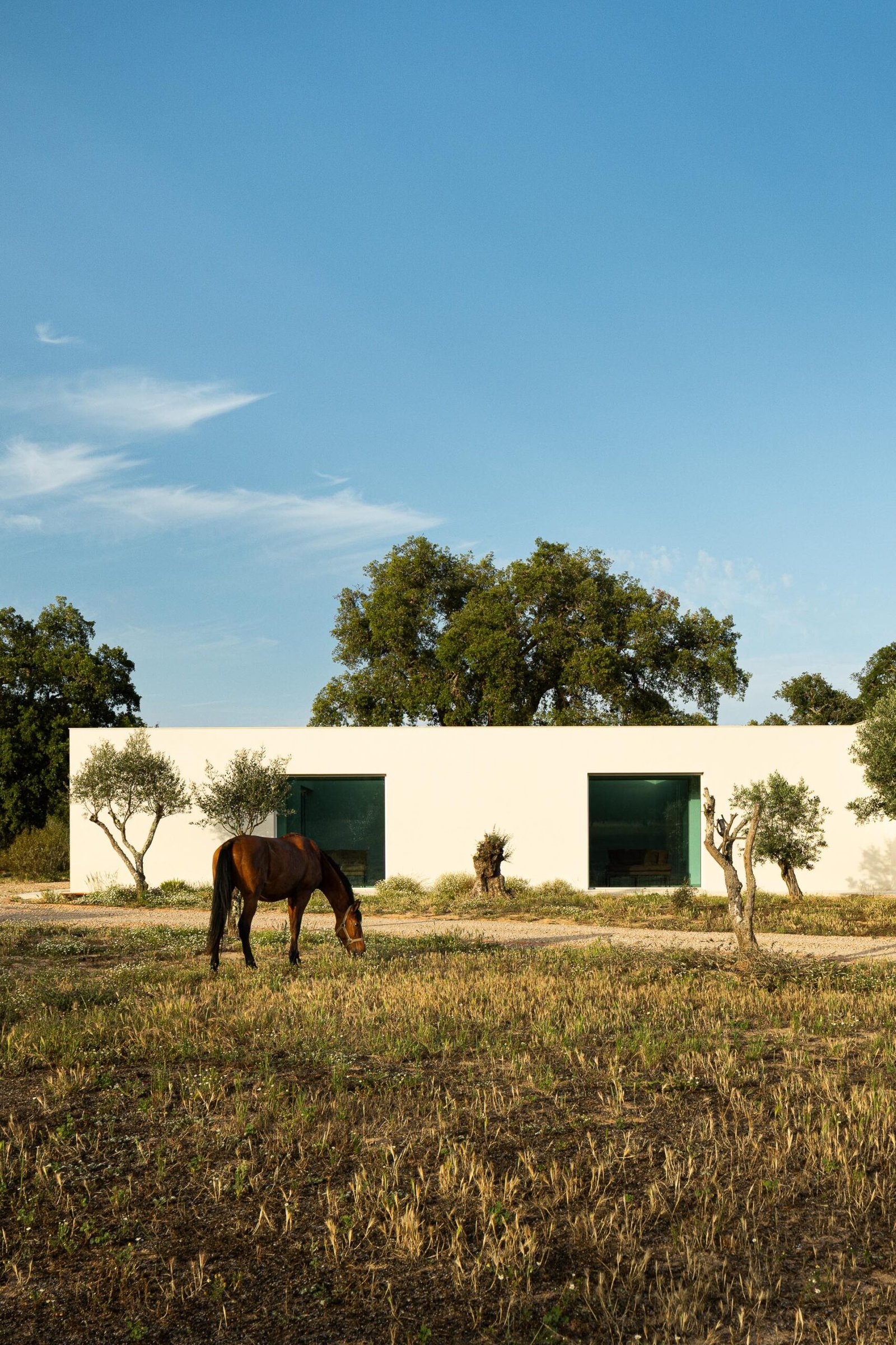 Casa M Ariane arquitetura Miguel Sabrab e fotografia Ivo Tavares