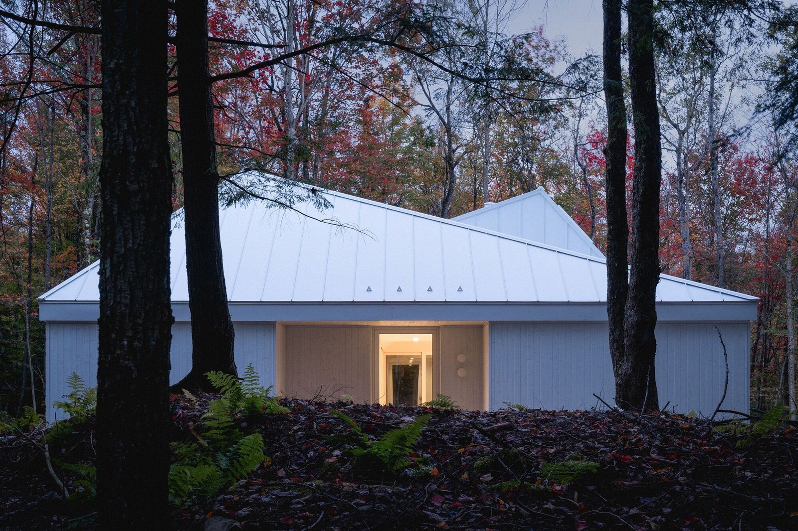 NatureHumaine – Habitat Sélénite (Raphaël Thibodeau) AeB (18)
