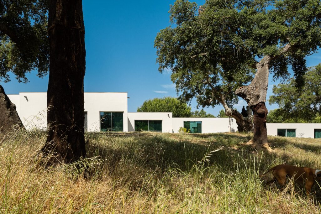 Casa M Ariane arquitetura Miguel Sabrab e fotografia Ivo Tavares