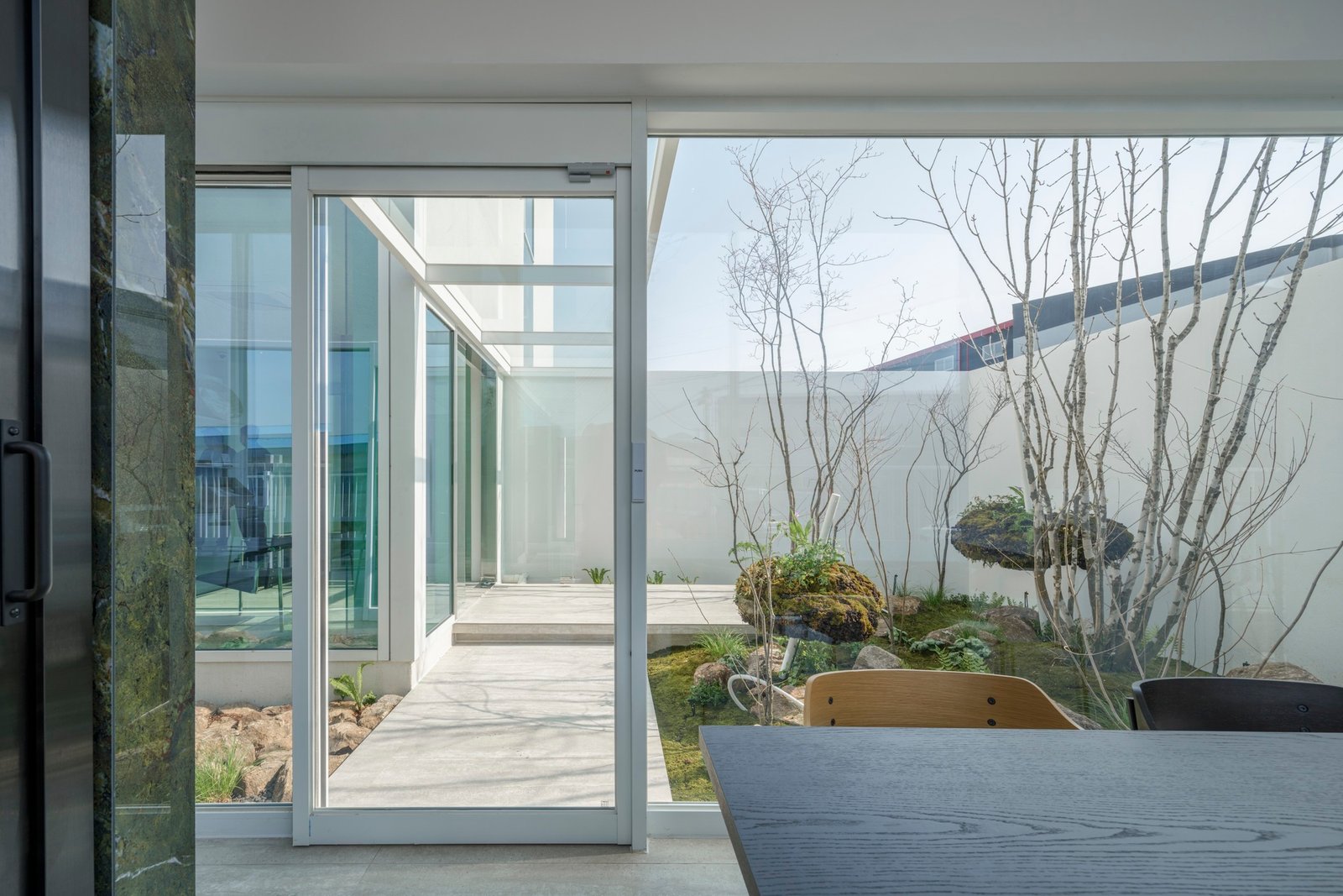 Archirie_Bosque_mascotas_Gimpo_Mongsang_AeB (15)
