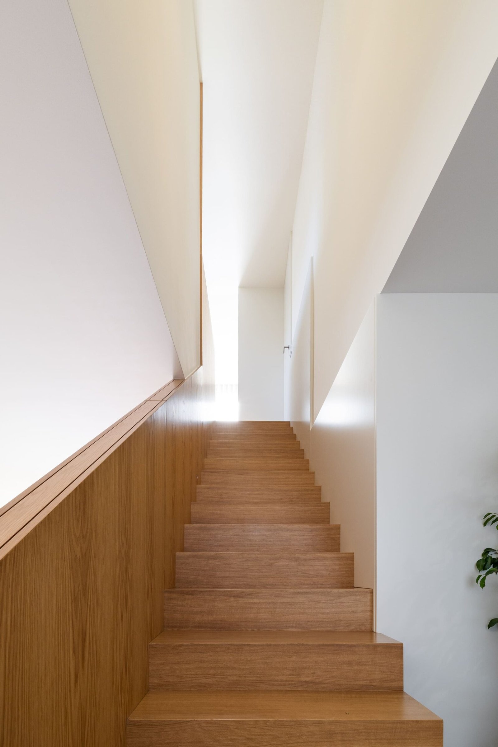 Casa Delães Are Architects (17)