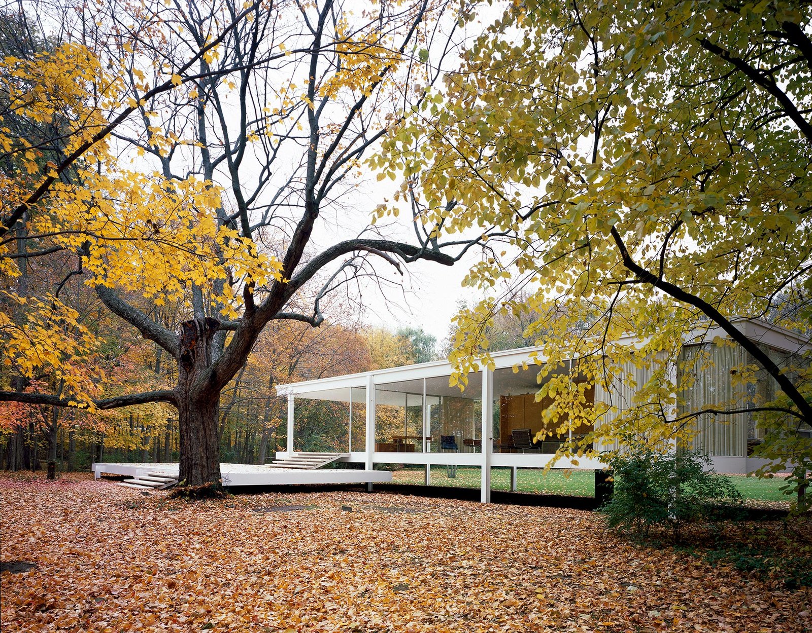 Casa Farnsworth entre los &aacute;rboles del paisaje del r&iacute;o Fox en Illinois
