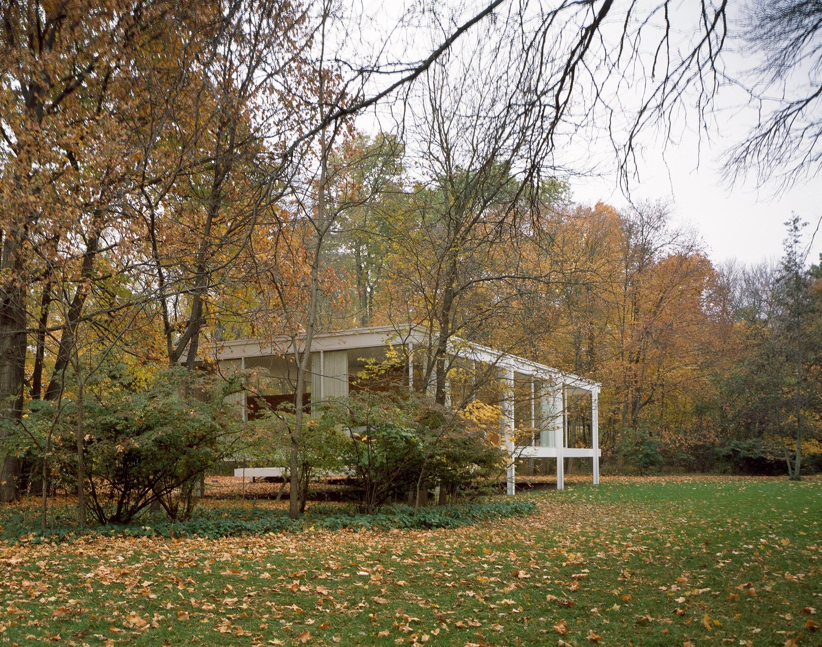 casa-farnsworth_04