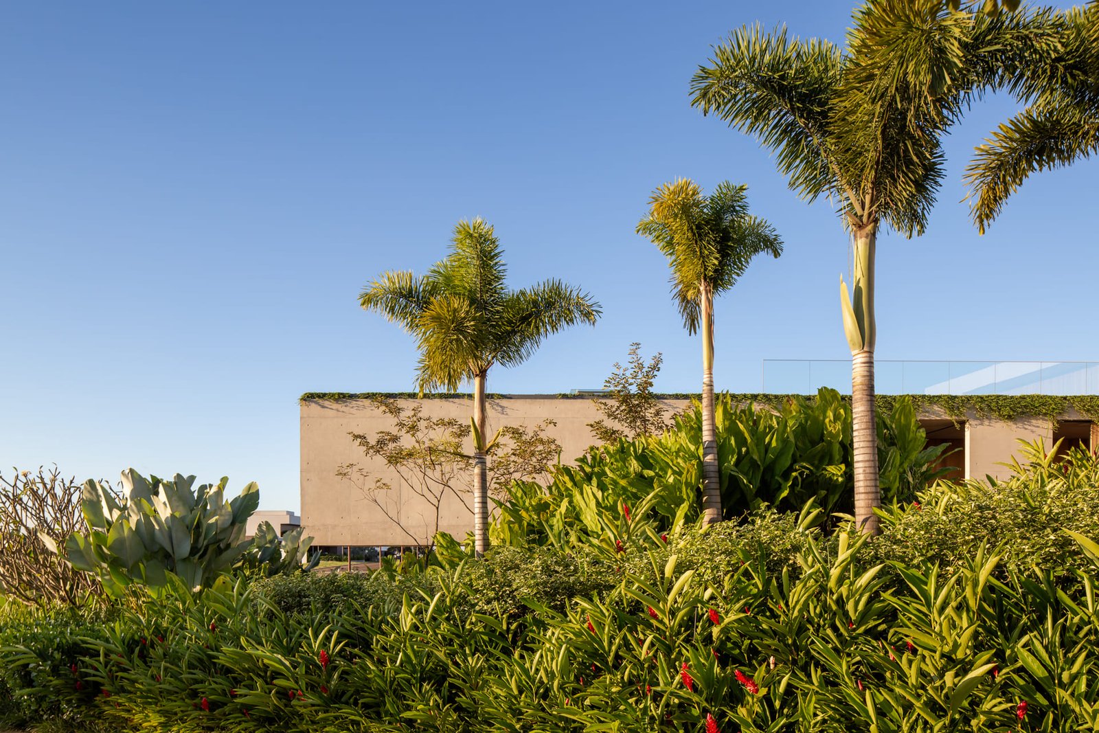 Casa_Sao_Carlos_Gui_Mattos_AeB (10)