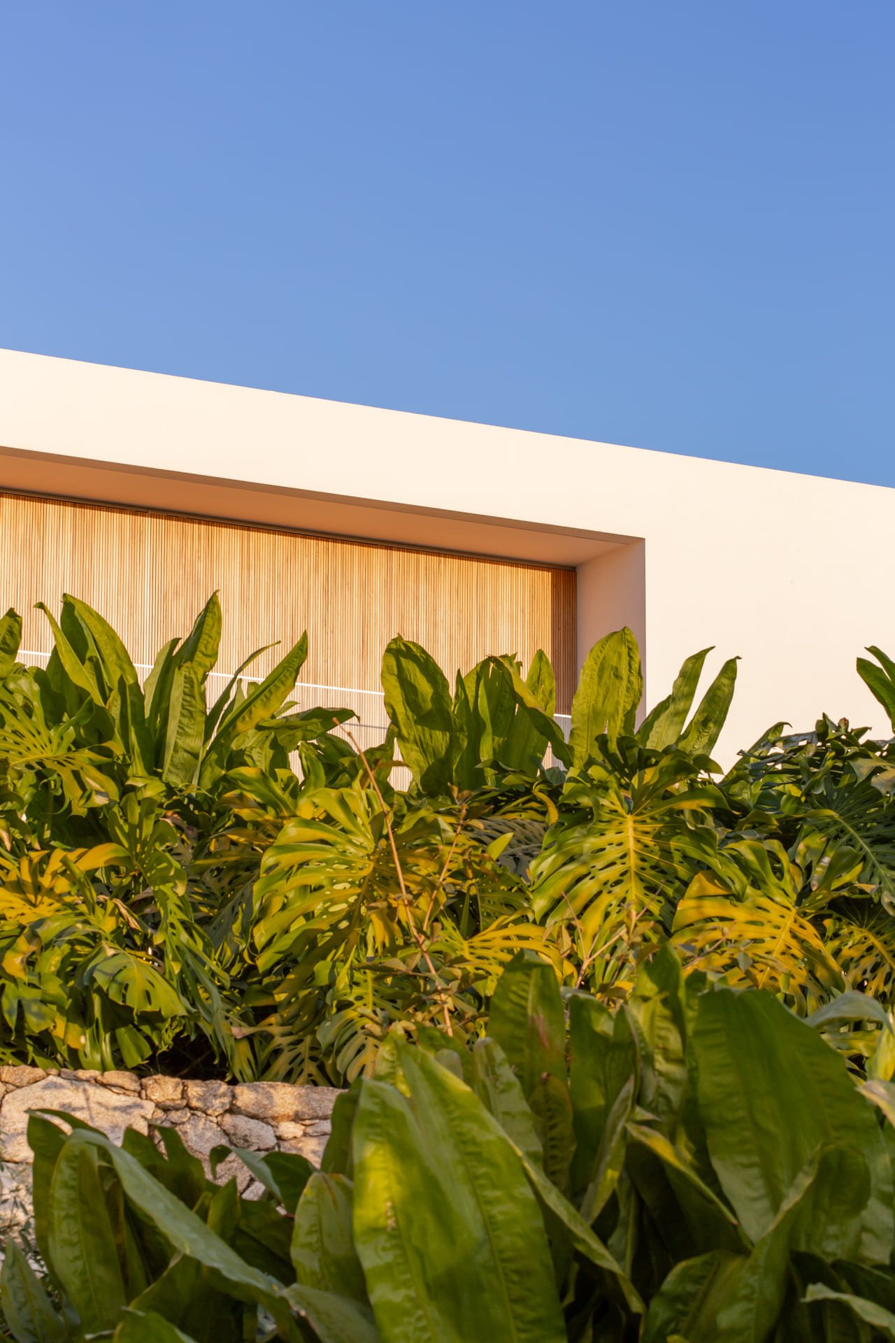 Casa_Sao_Carlos_Gui_Mattos_AeB (12)
