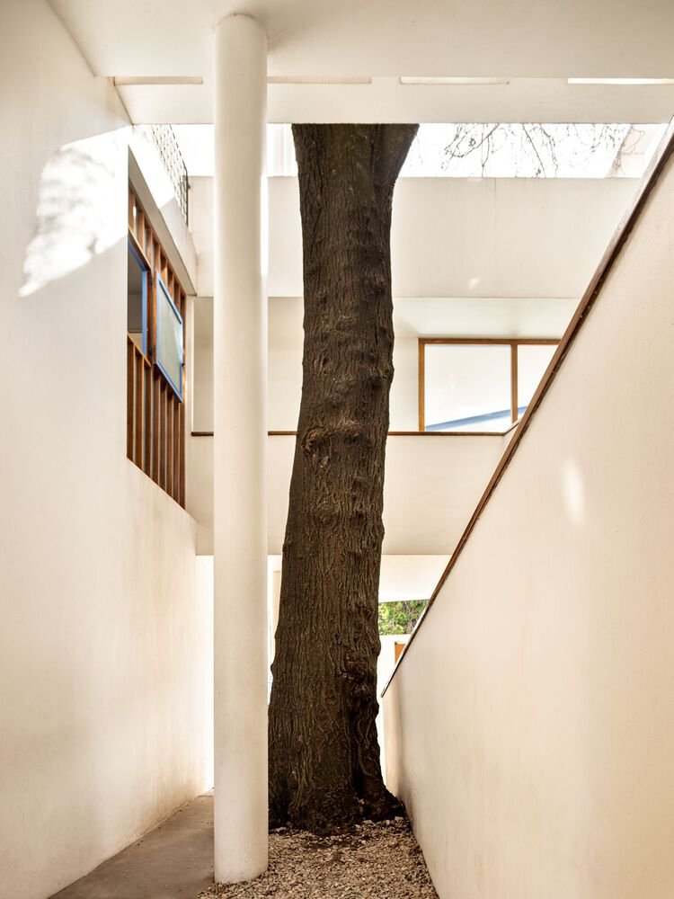 clasicos-de-arquitectura-casa-curutchet-le-corbusier_30