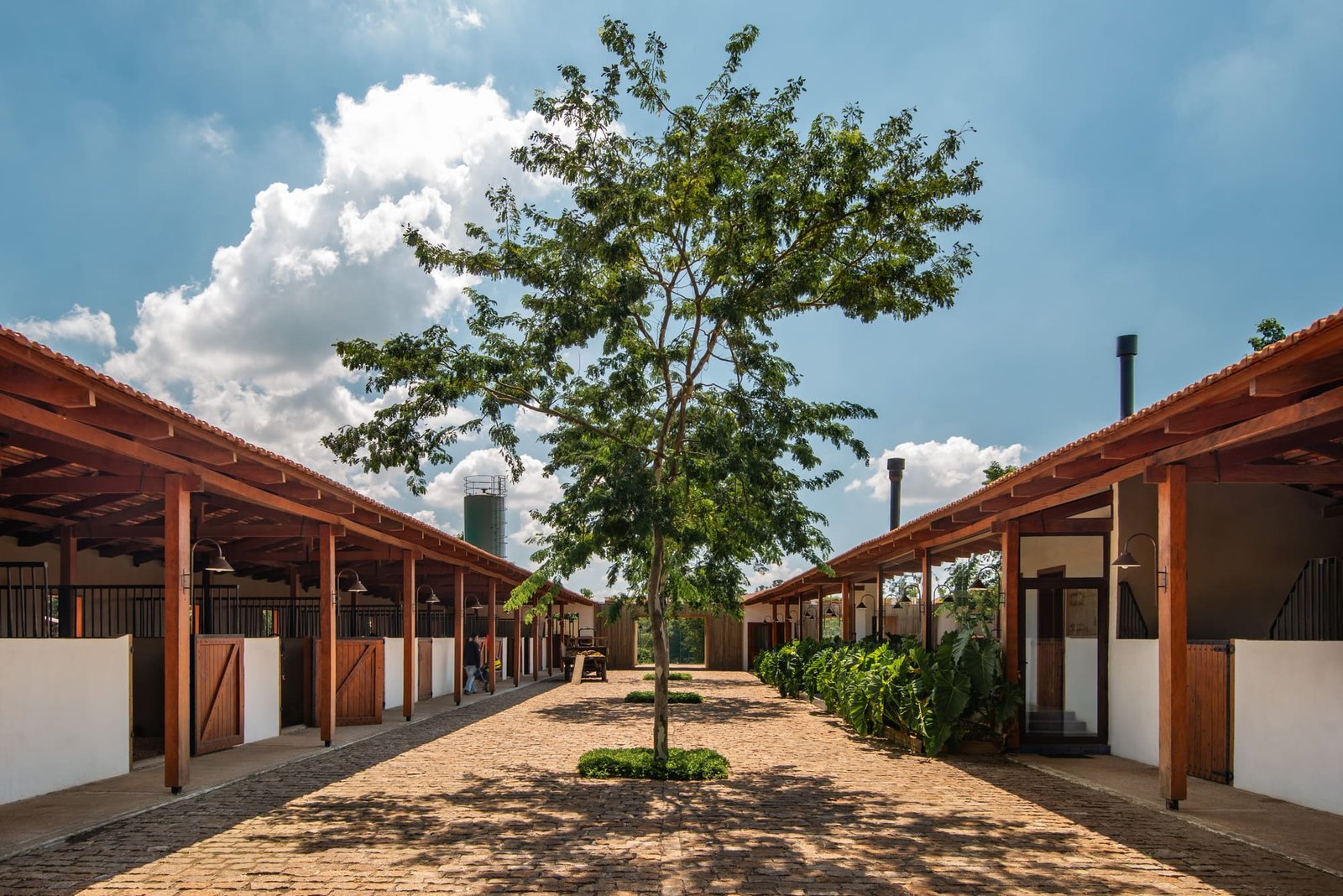 Estúdio_Mangava_Haras_Entrevero_Lela_Leme_AeB (15)