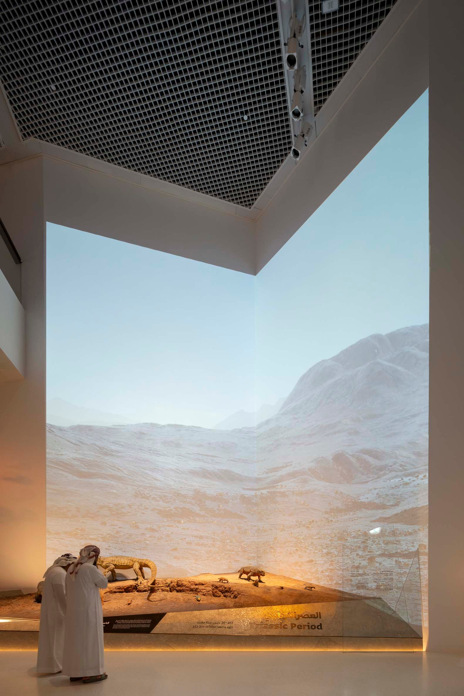 Mecanoo &ndash; Museo de Historia Natural de Abu Dabi (Ossip Architectuurfotografie) AeB (29)
