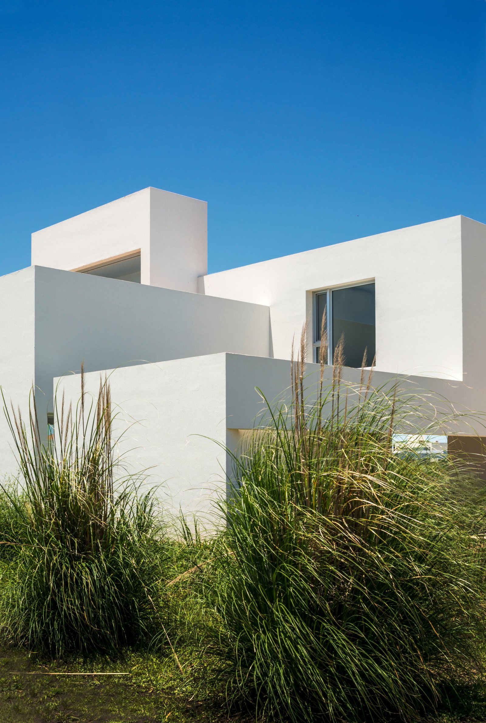 CasaMP_Nicolas_Campodonico (33)