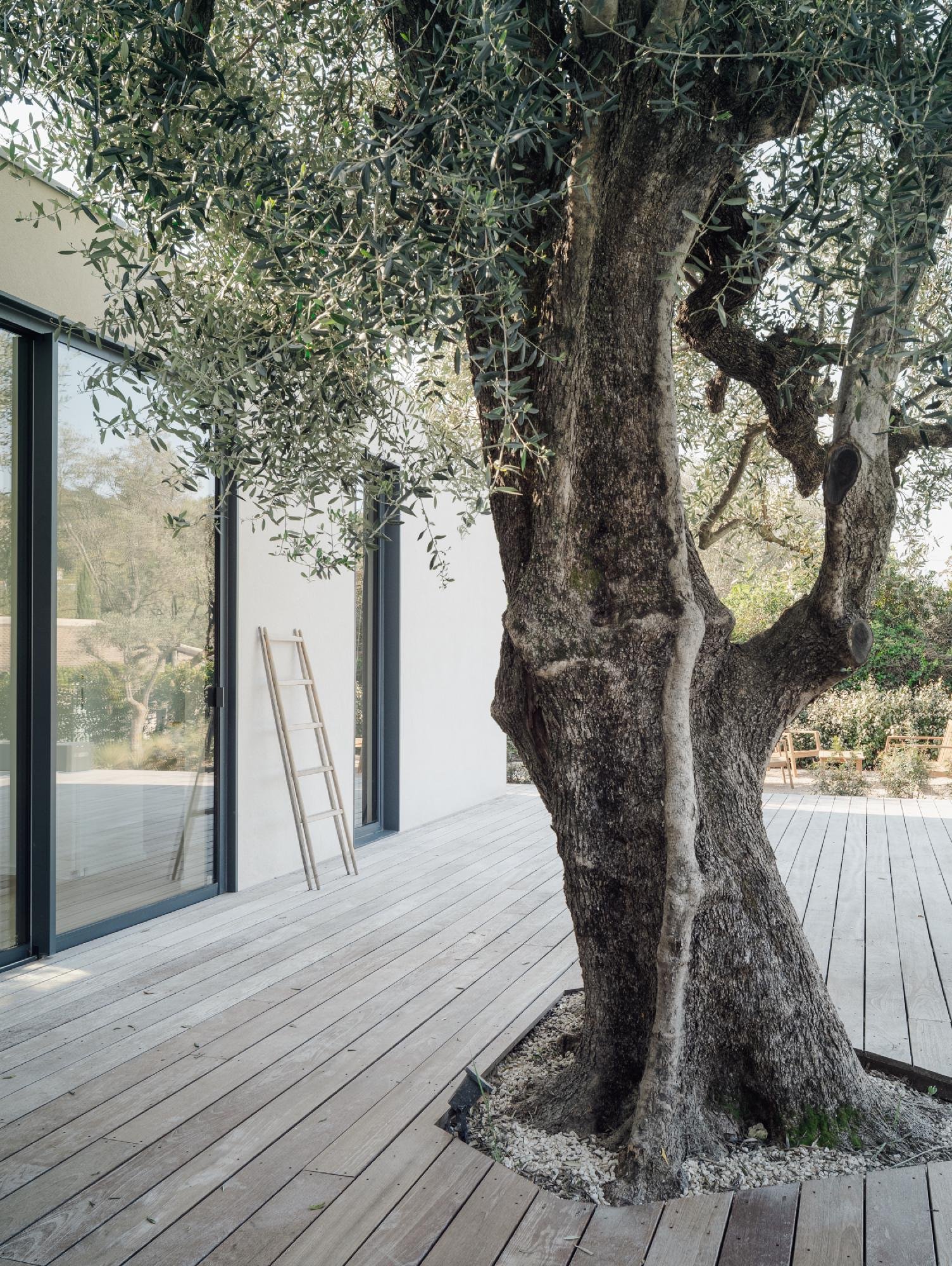 Cascio_Arquitectos_Villa_Cuatro_Olivos_Aldo_Amoretti_AeB (5)