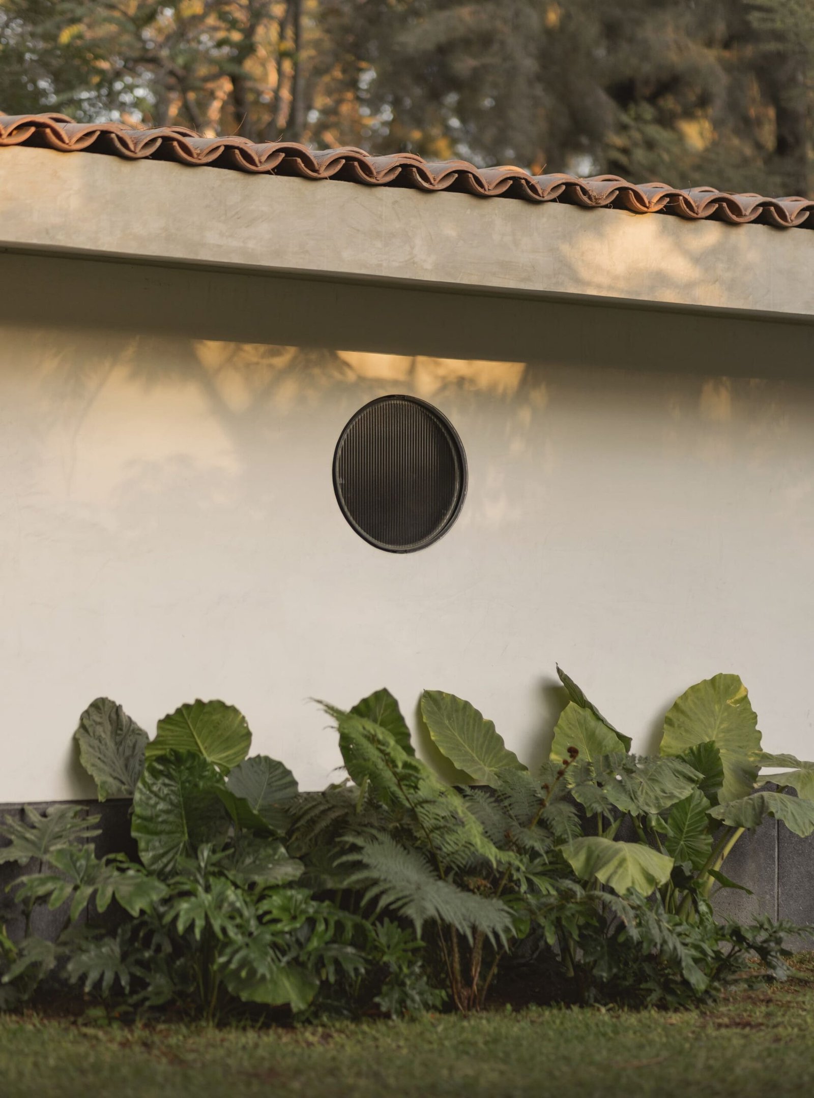 Estudio_Radillo_Alba_Malvas_59_Rodrigo_Calzada_Albers_Studio_AeB (11)