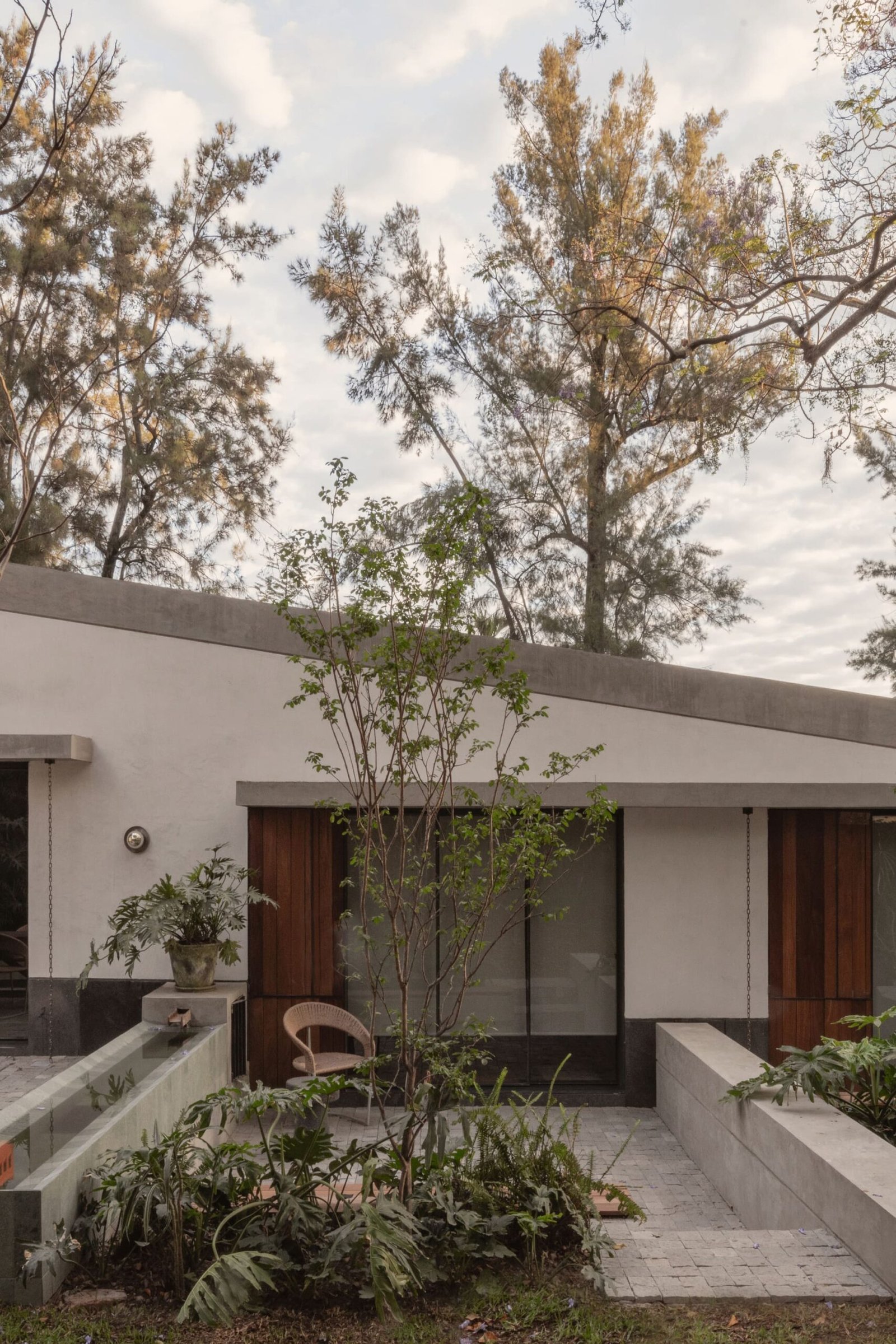 Estudio_Radillo_Alba_Malvas_59_Rodrigo_Calzada_Albers_Studio_AeB (26)