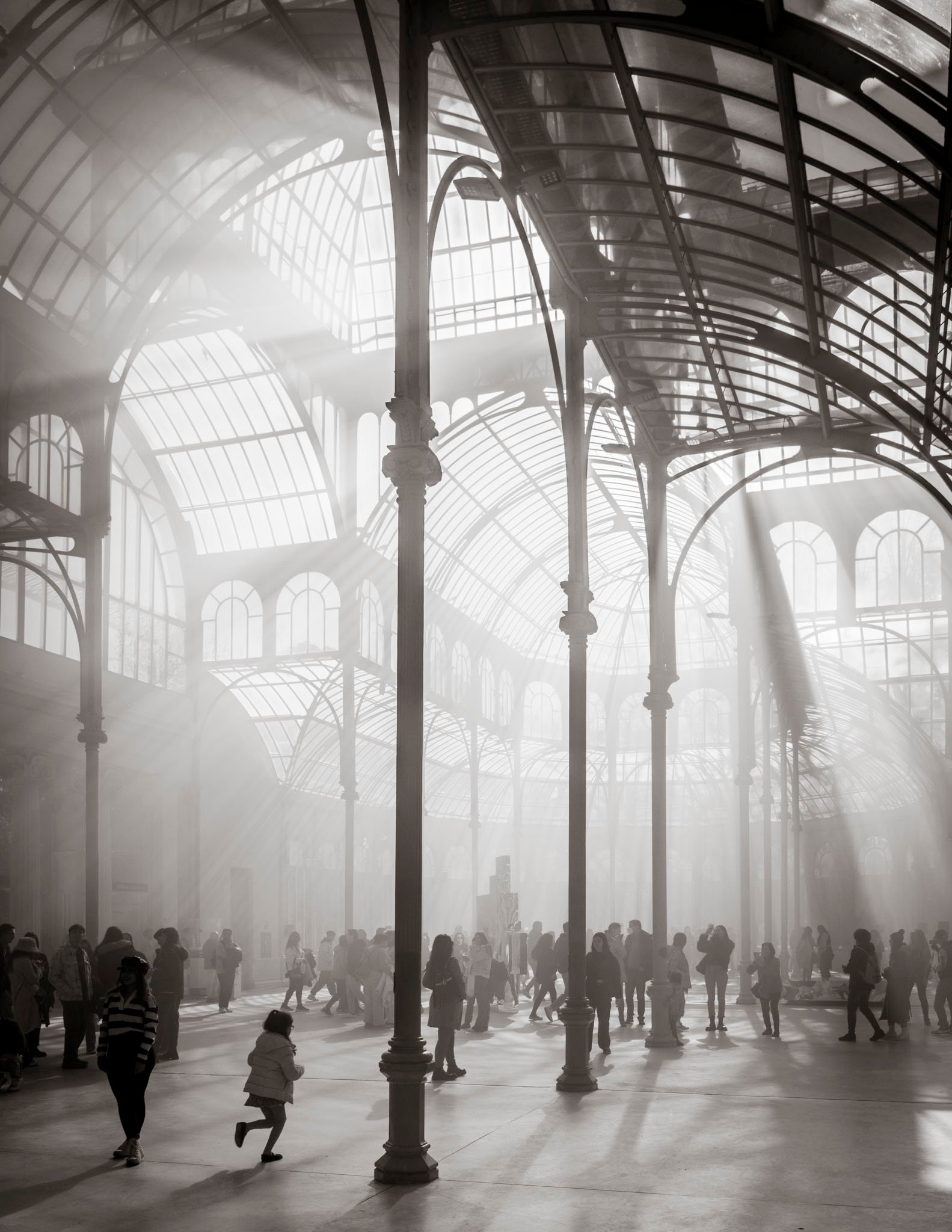 Palacio de Cristal _ Alberto Amores