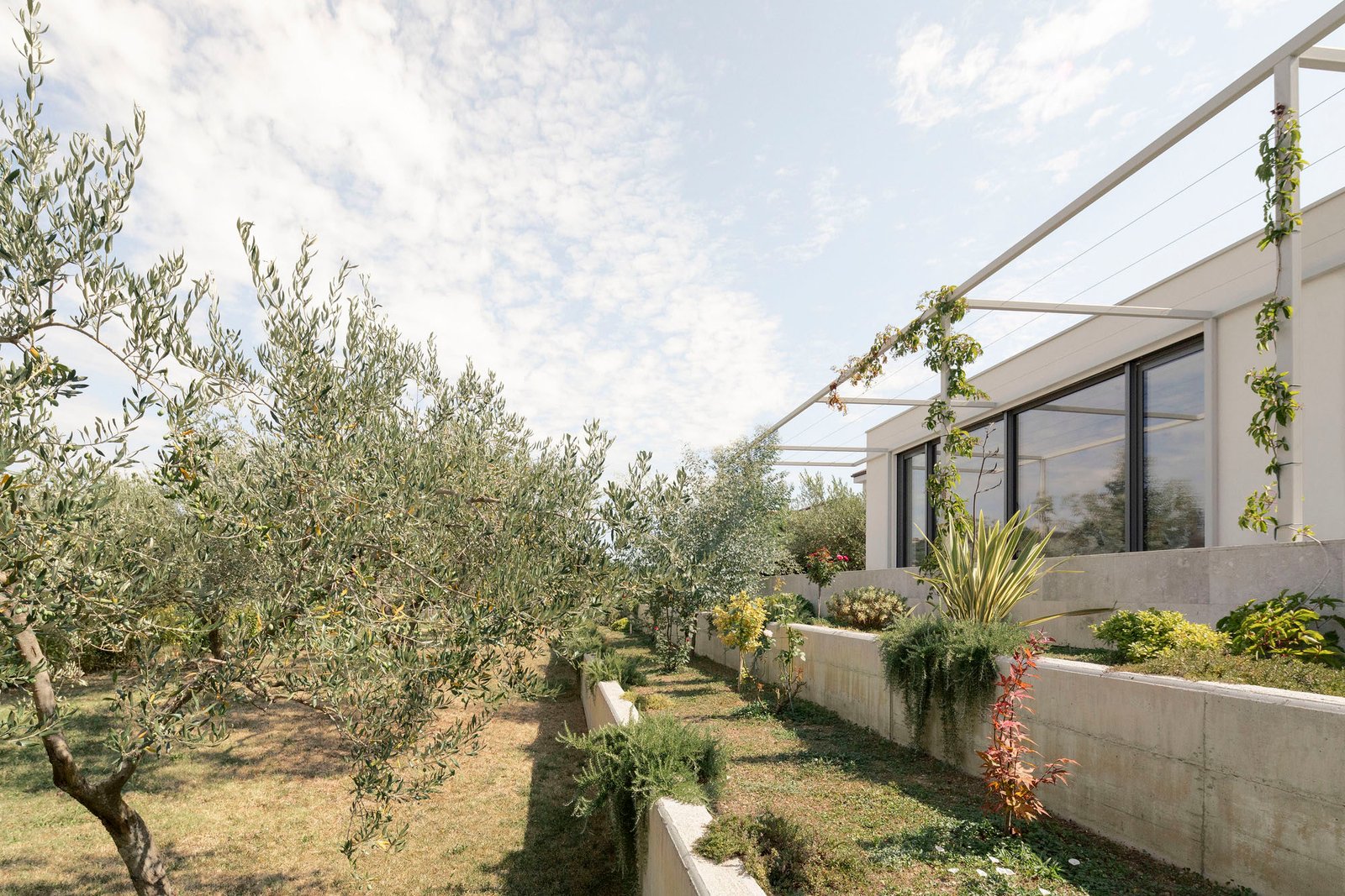 ARP_studio_Casa_G_Ana_Skobe_AeB (9)