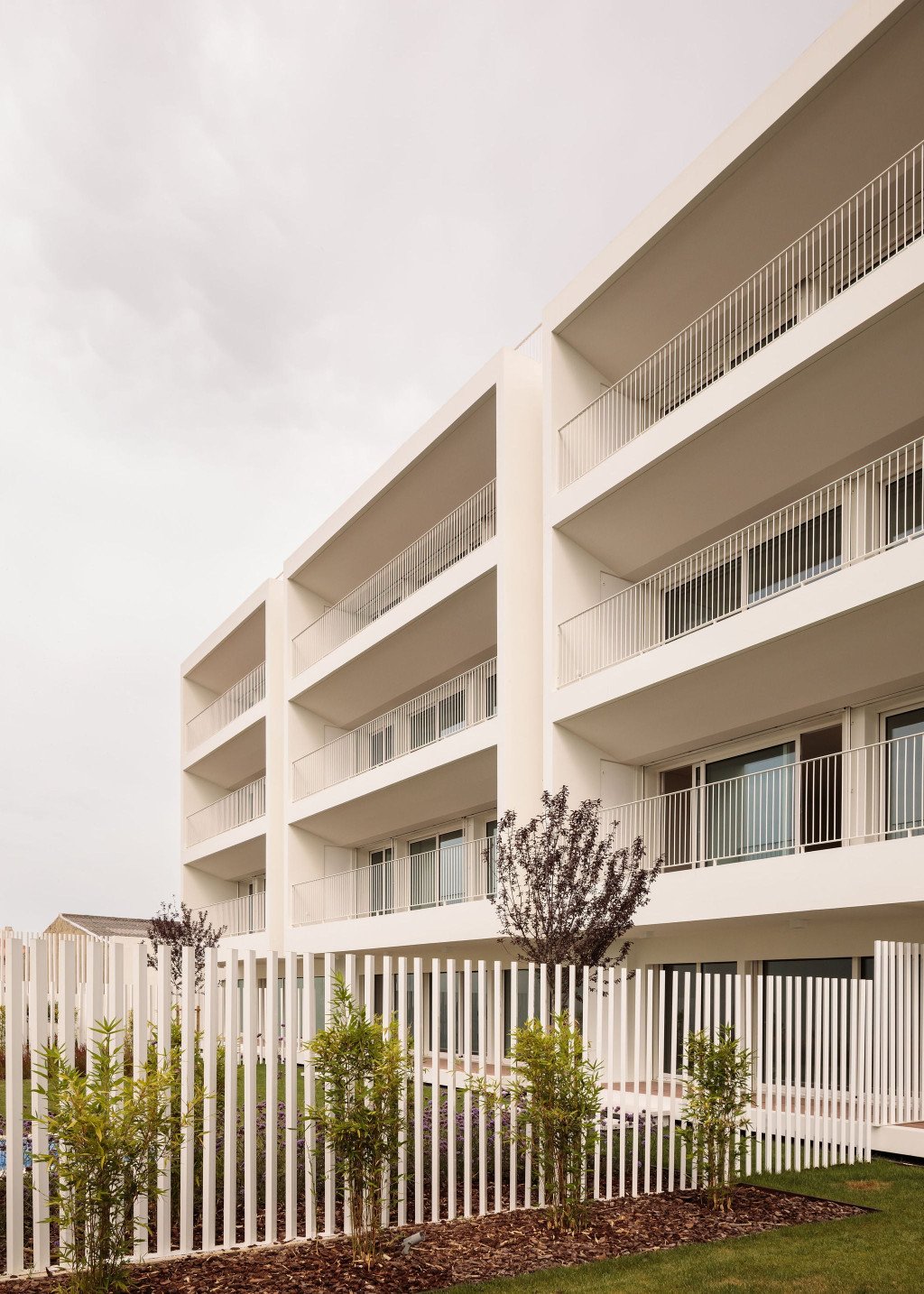 Giestal_Saraiva_Associados_Francisco_Nogueira_AeB (1)