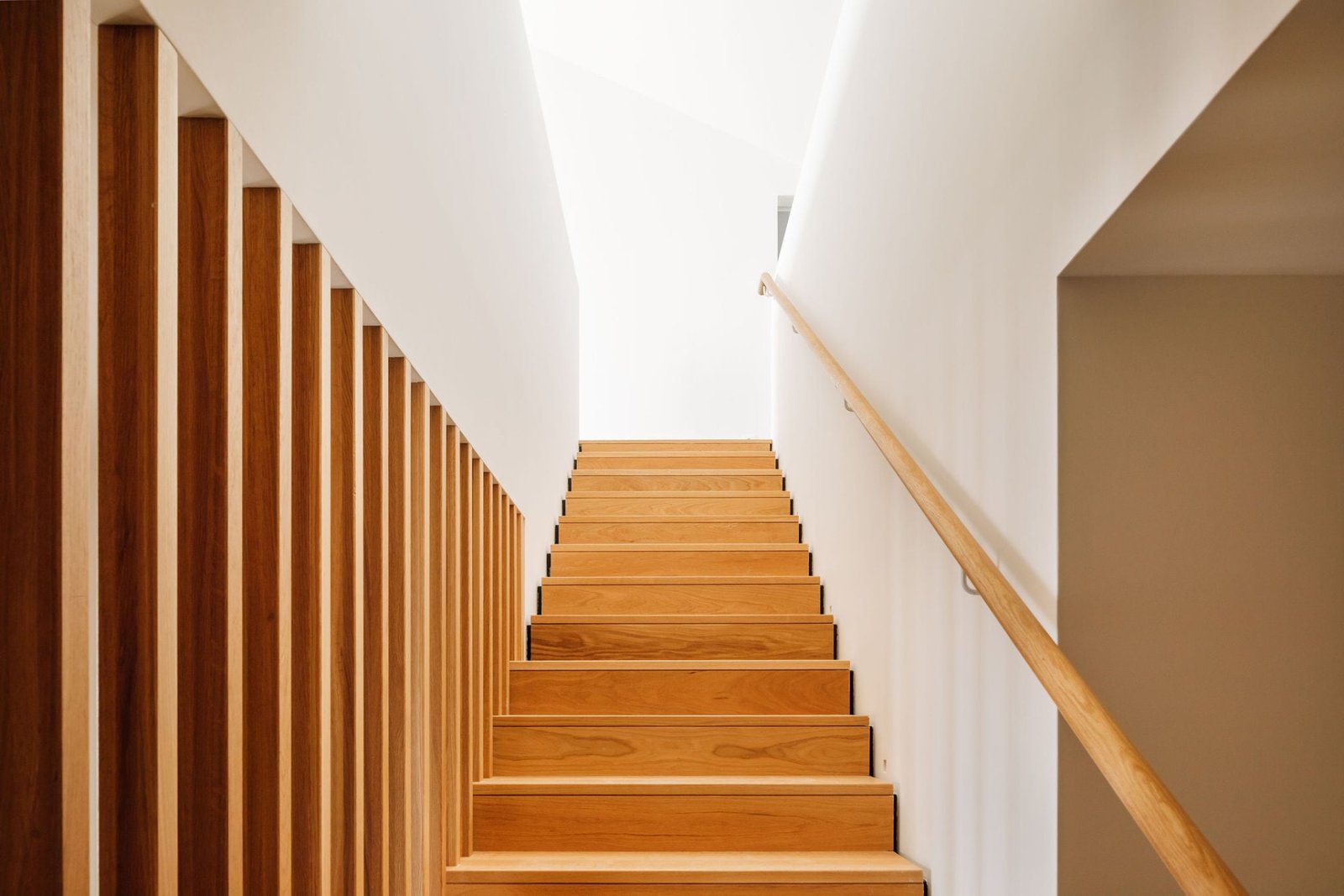 Giestal_Saraiva_Associados_Francisco_Nogueira_AeB (10)
