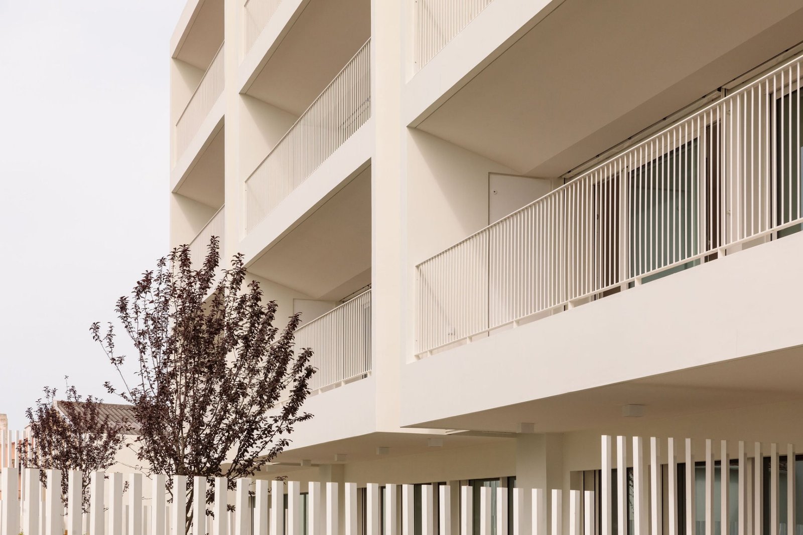 Giestal_Saraiva_Associados_Francisco_Nogueira_AeB (2)