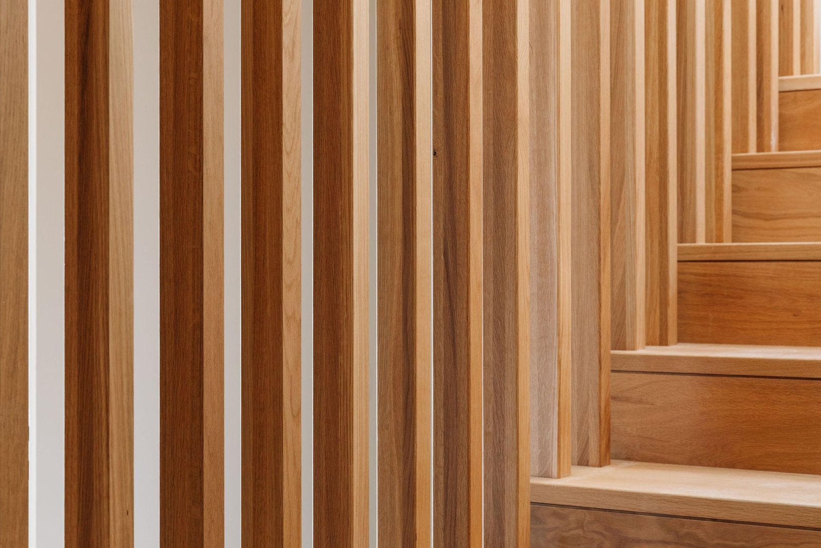 Giestal_Saraiva_Associados_Francisco_Nogueira_AeB (21)