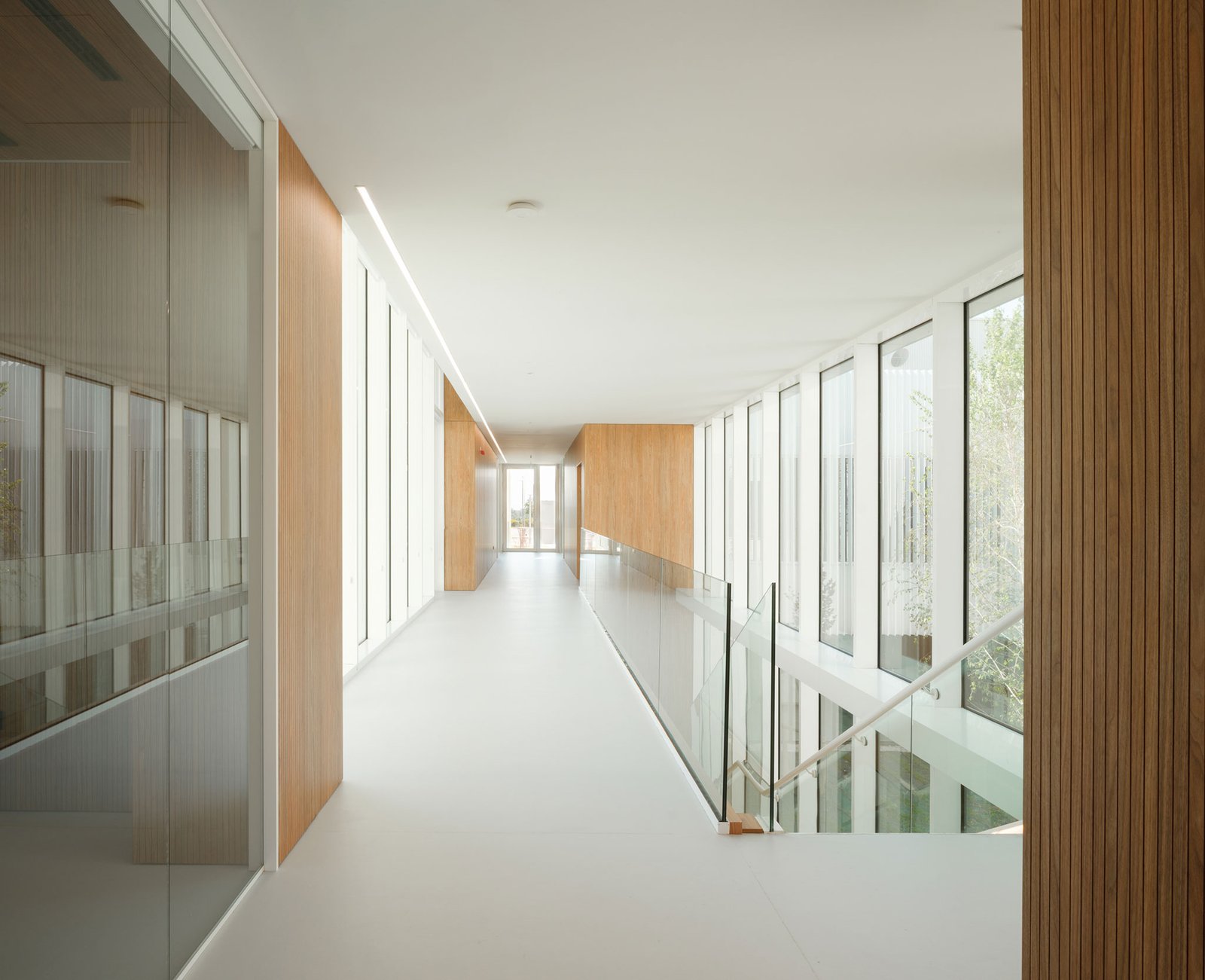 IDOM – Centro de Innovación Cerealera (Pedro Pegenaute) (15)