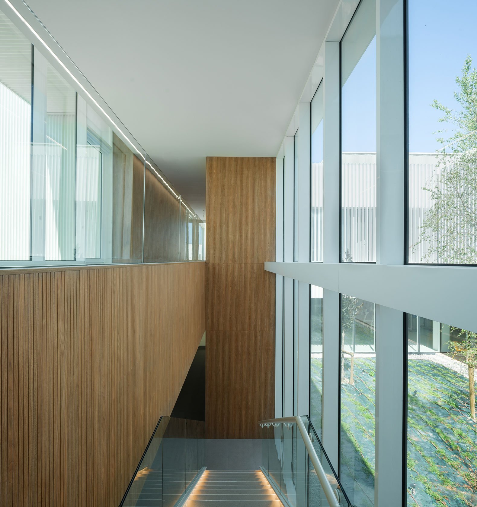 IDOM – Centro de Innovación Cerealera (Pedro Pegenaute) (16)
