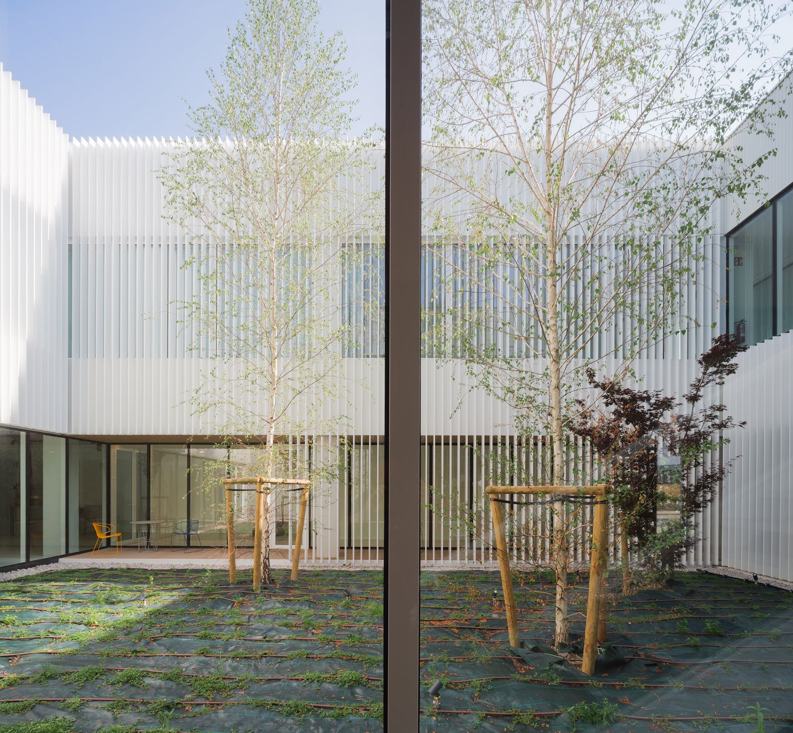 IDOM – Centro de Innovación Cerealera (Pedro Pegenaute) (17)