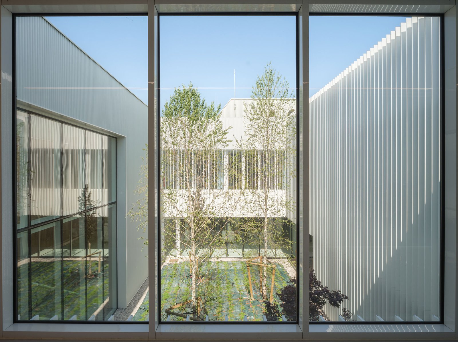 IDOM – Centro de Innovación Cerealera (Pedro Pegenaute) (18)