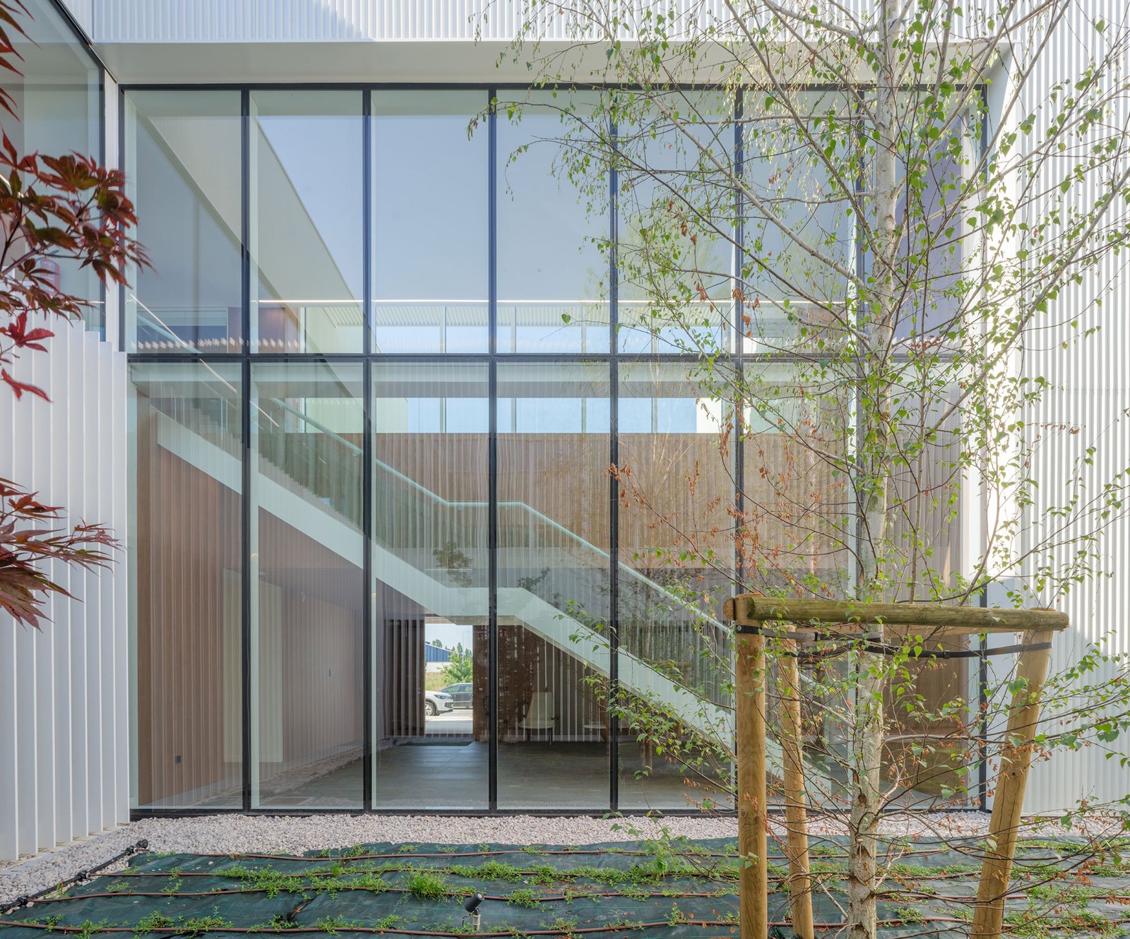 IDOM – Centro de Innovación Cerealera (Pedro Pegenaute) (20)