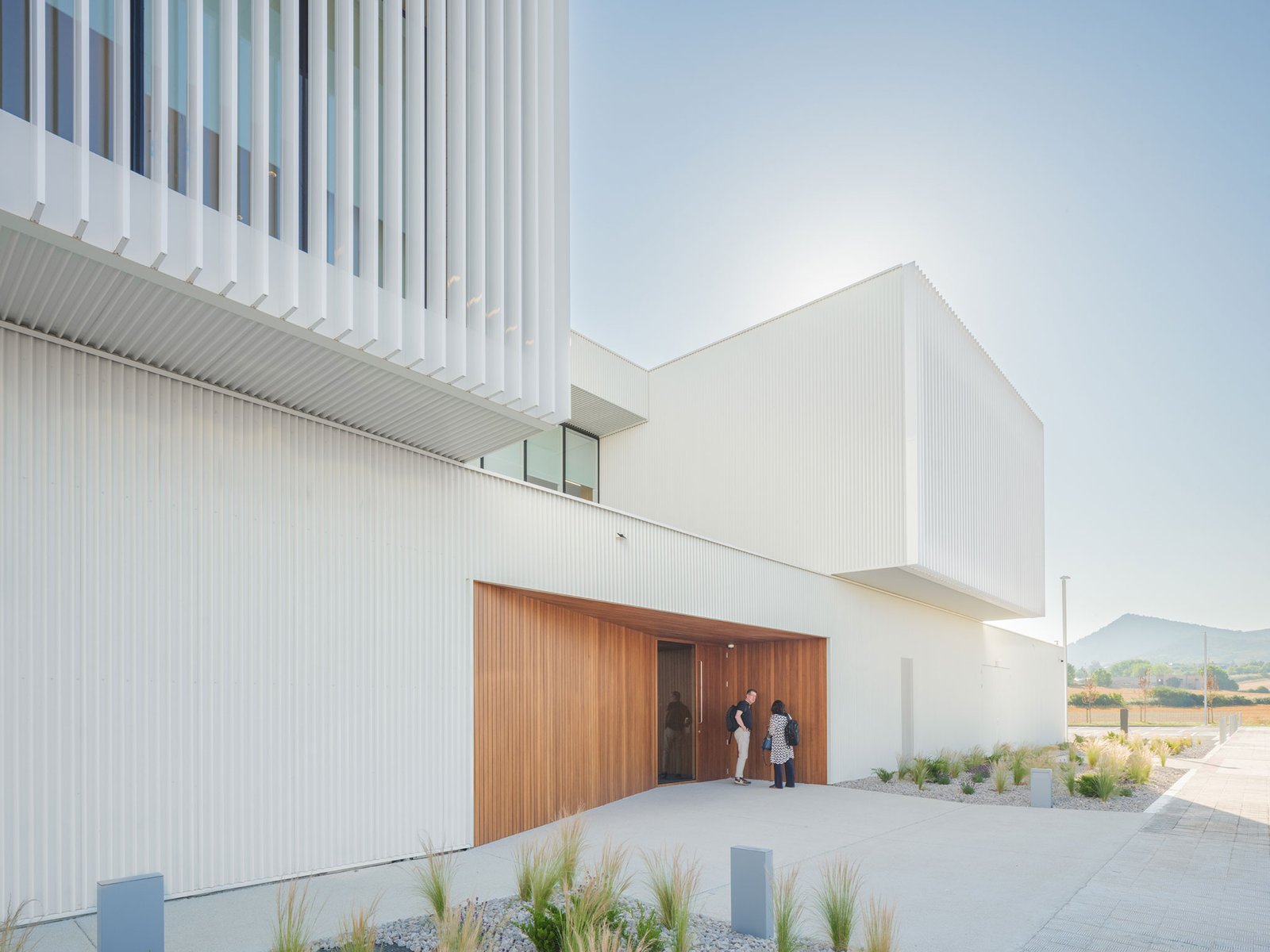 IDOM – Centro de Innovación Cerealera (Pedro Pegenaute) (5)