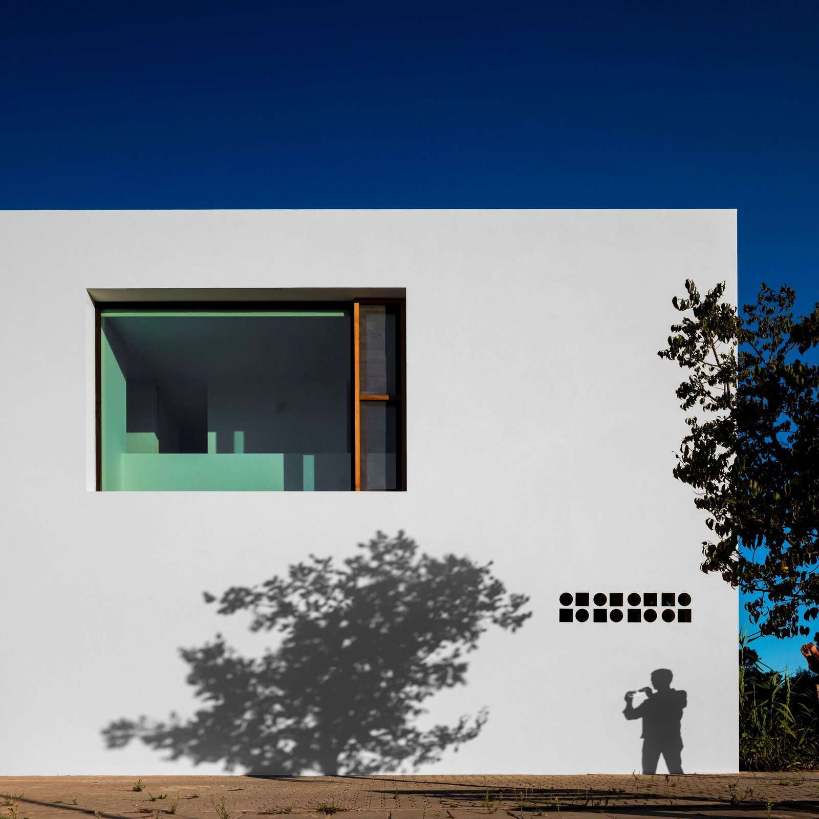 Pereira_Miguel_Arquitectos_Nuno_Martins_Correia_Casa_Arbol_Fernando_Guerra_AeB (10)
