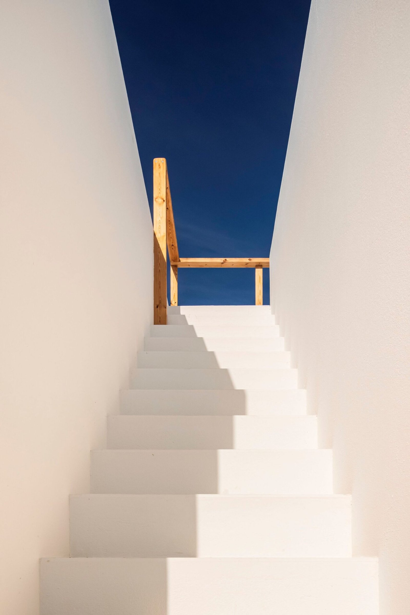 Pereira_Miguel_Arquitectos_Nuno_Martins_Correia_Casa_Arbol_Fernando_Guerra_AeB (30)